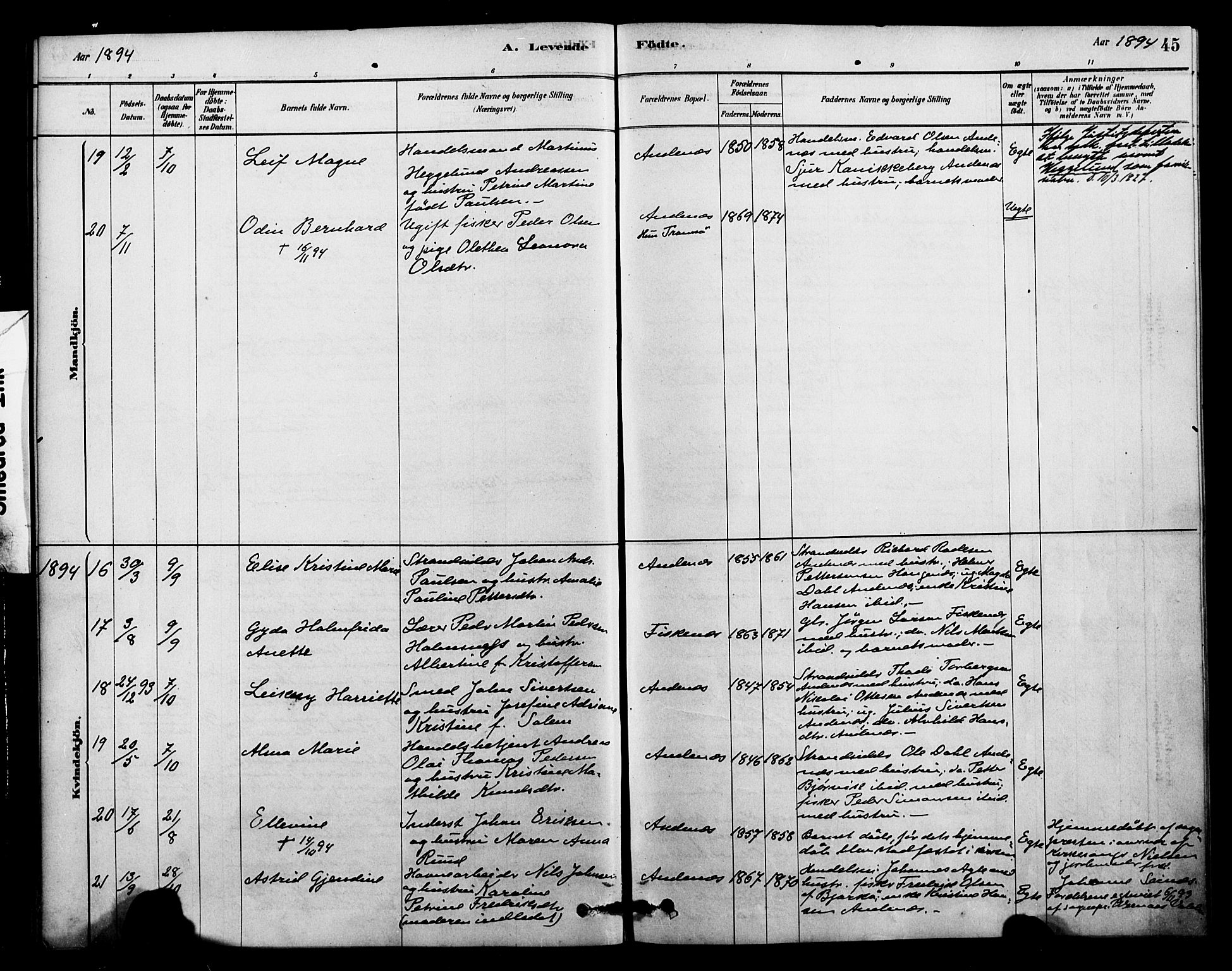 Ministerialprotokoller, klokkerbøker og fødselsregistre - Nordland, SAT/A-1459/899/L1436: Ministerialbok nr. 899A04, 1881-1896, s. 45