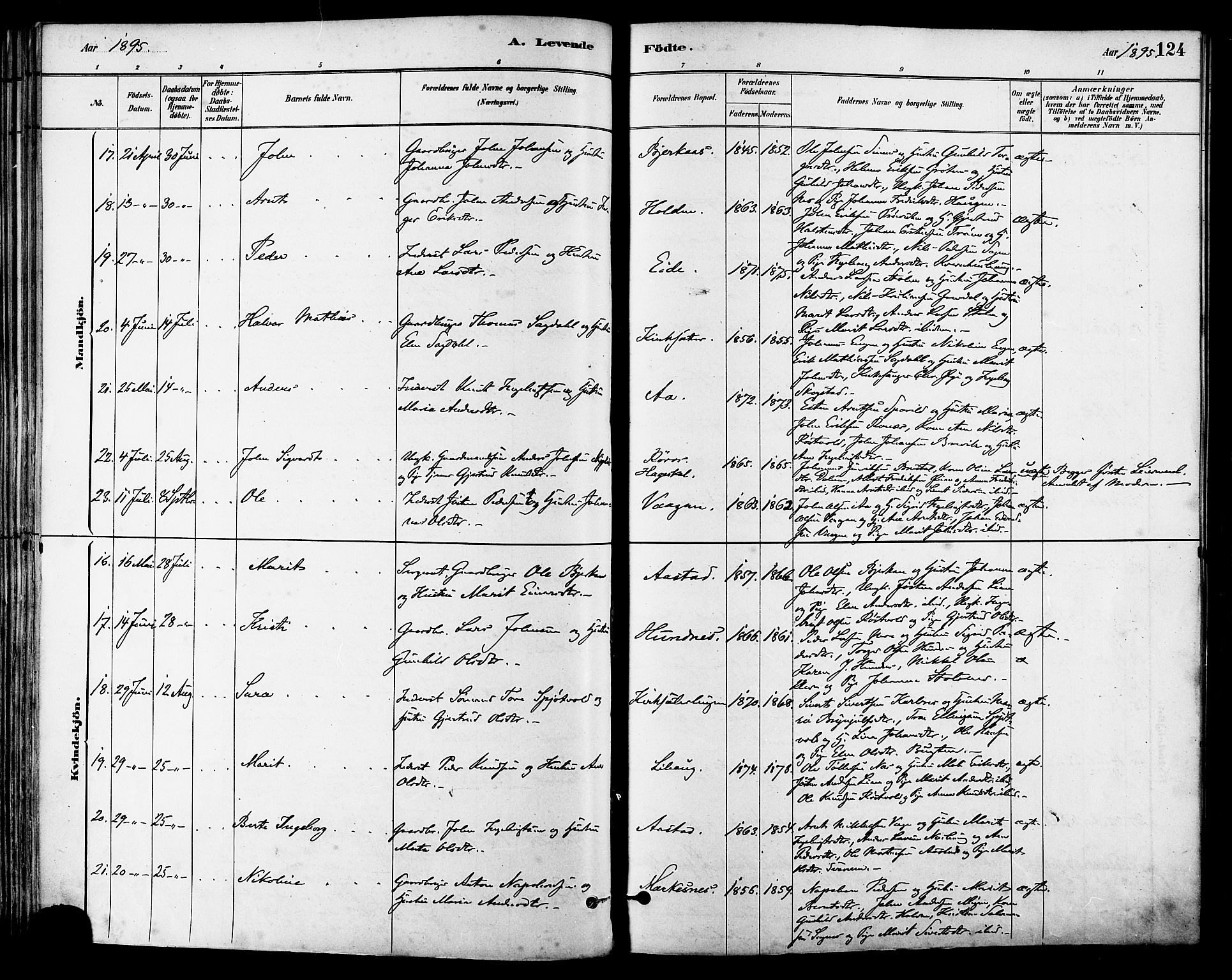 Ministerialprotokoller, klokkerbøker og fødselsregistre - Sør-Trøndelag, AV/SAT-A-1456/630/L0496: Ministerialbok nr. 630A09, 1879-1895, s. 124
