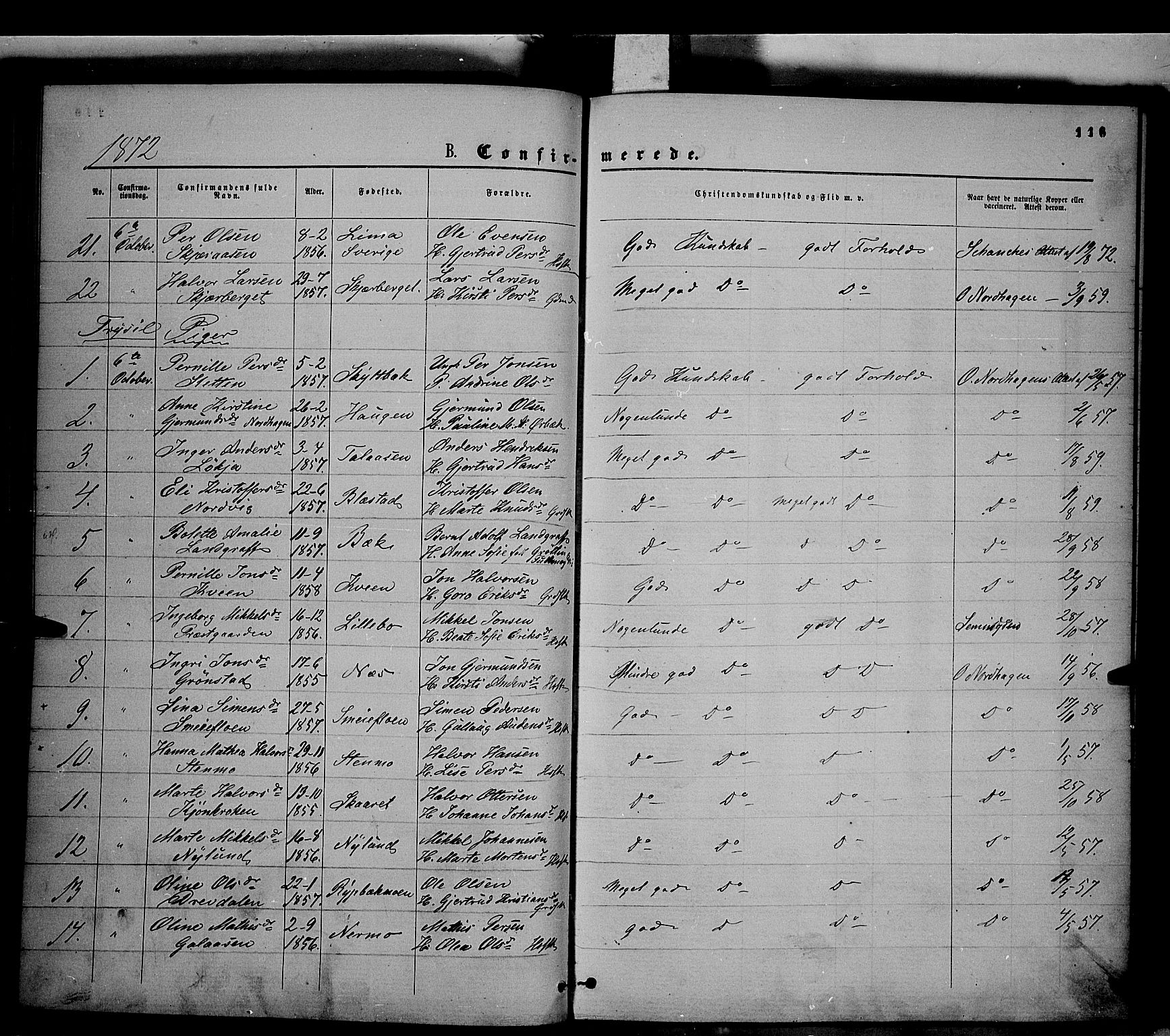 Trysil prestekontor, AV/SAH-PREST-046/H/Ha/Haa/L0006: Ministerialbok nr. 6, 1866-1873, s. 116
