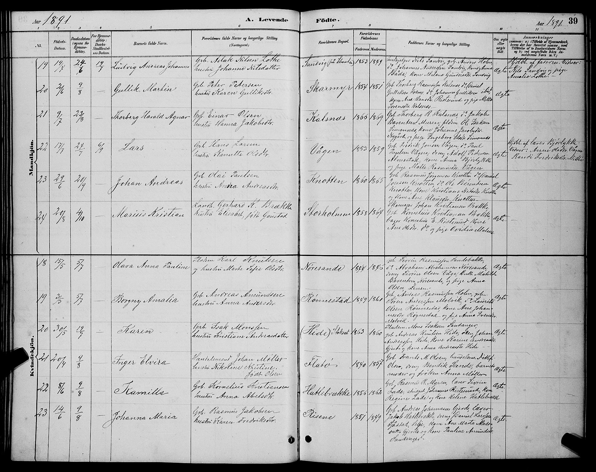 Ministerialprotokoller, klokkerbøker og fødselsregistre - Møre og Romsdal, AV/SAT-A-1454/503/L0048: Klokkerbok nr. 503C03, 1885-1893, s. 39