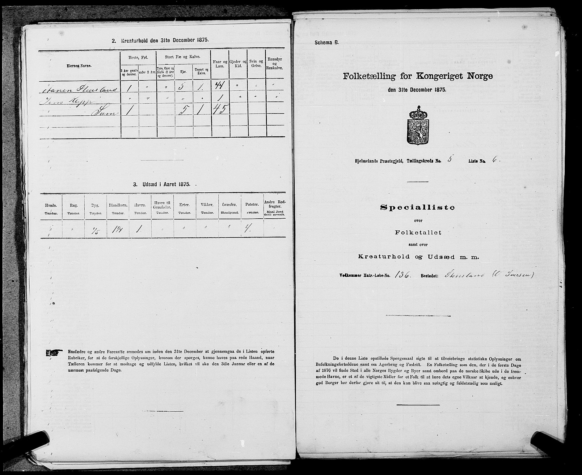 SAST, Folketelling 1875 for 1133P Hjelmeland prestegjeld, 1875, s. 587