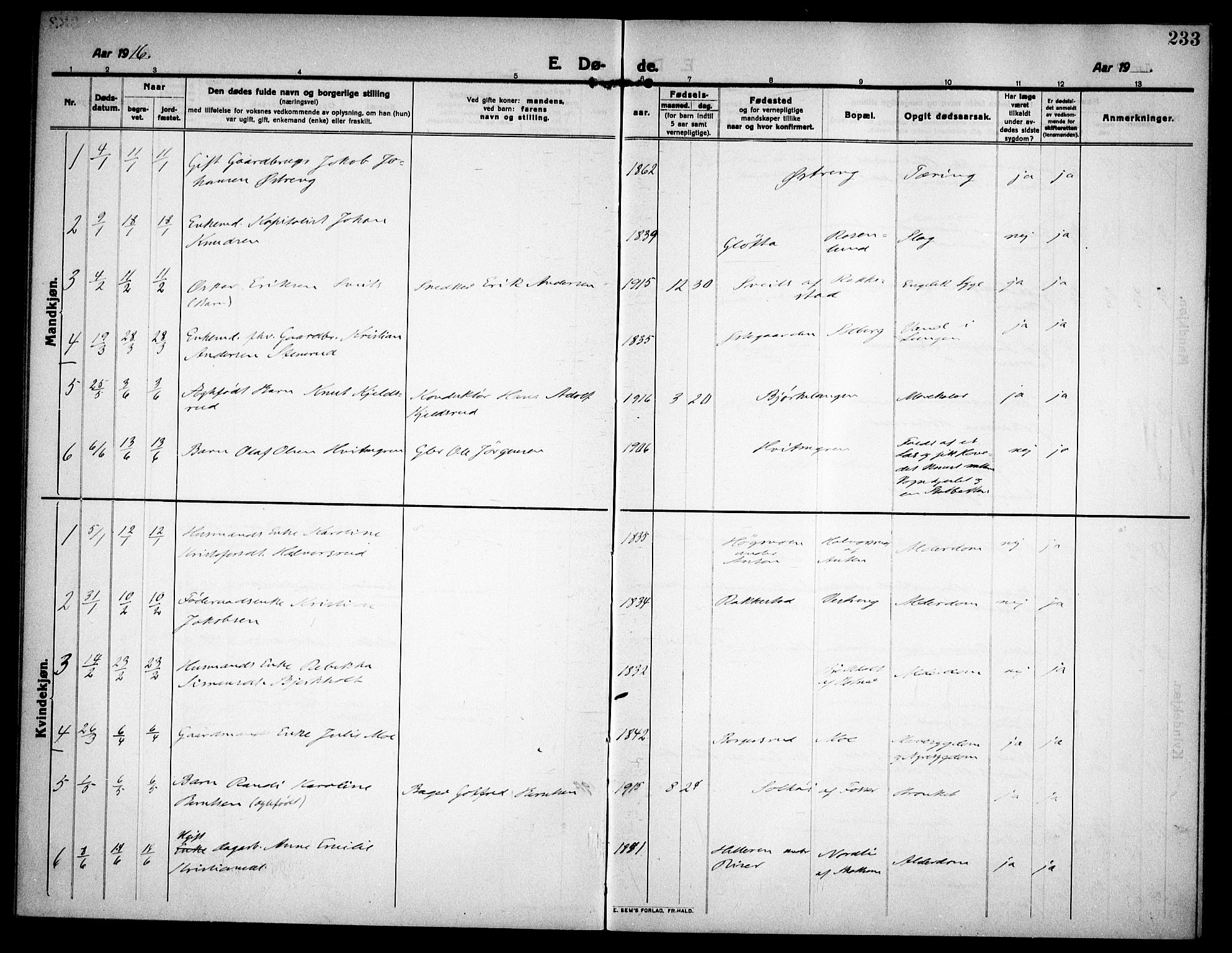 Høland prestekontor Kirkebøker, SAO/A-10346a/F/Fa/L0016: Ministerialbok nr. I 16, 1912-1921, s. 233