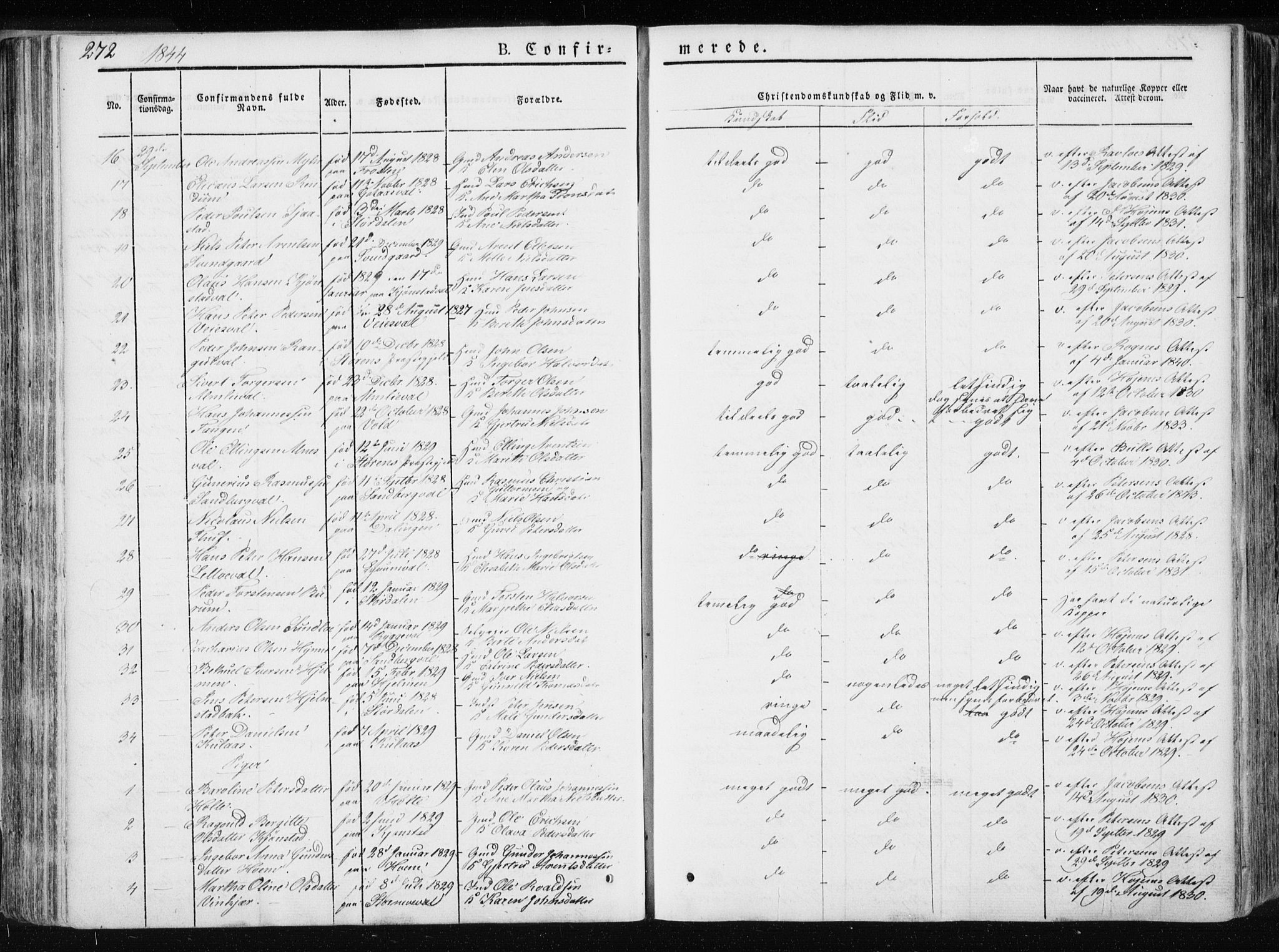 Ministerialprotokoller, klokkerbøker og fødselsregistre - Nord-Trøndelag, SAT/A-1458/717/L0154: Ministerialbok nr. 717A06 /1, 1836-1849, s. 272