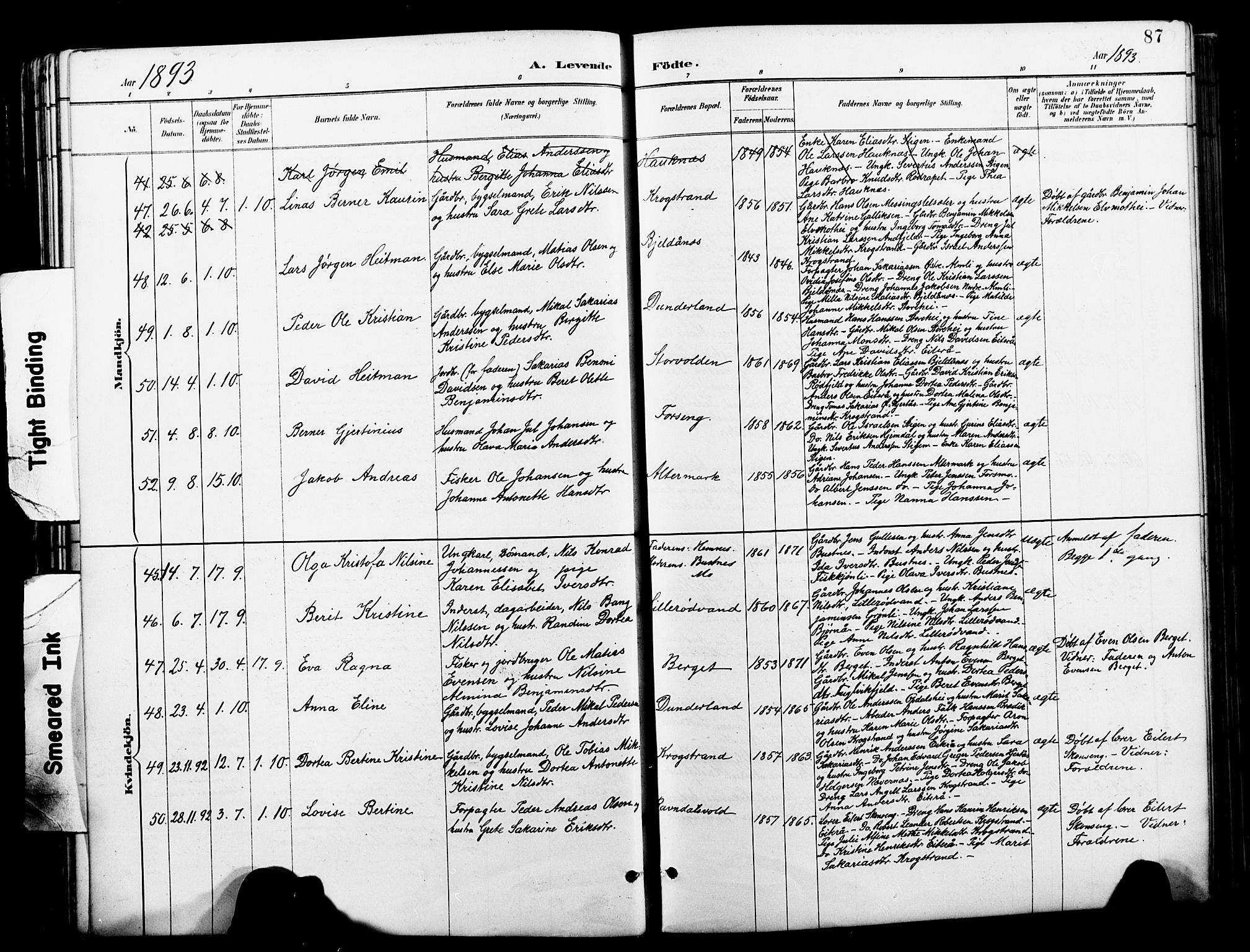 Ministerialprotokoller, klokkerbøker og fødselsregistre - Nordland, AV/SAT-A-1459/827/L0421: Klokkerbok nr. 827C10, 1887-1906, s. 87