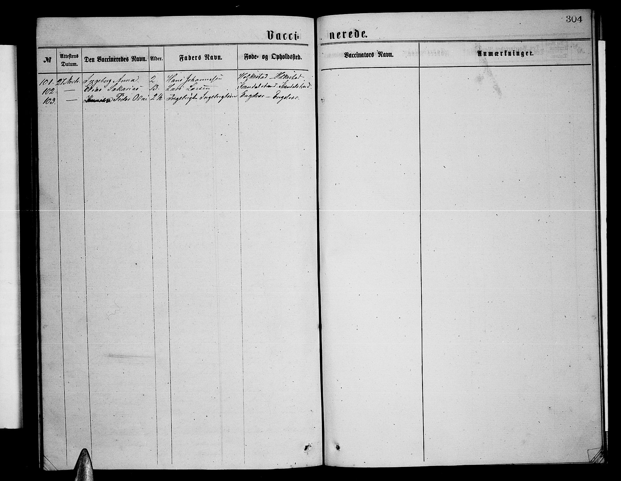 Ministerialprotokoller, klokkerbøker og fødselsregistre - Nordland, AV/SAT-A-1459/855/L0815: Klokkerbok nr. 855C04, 1865-1878, s. 304