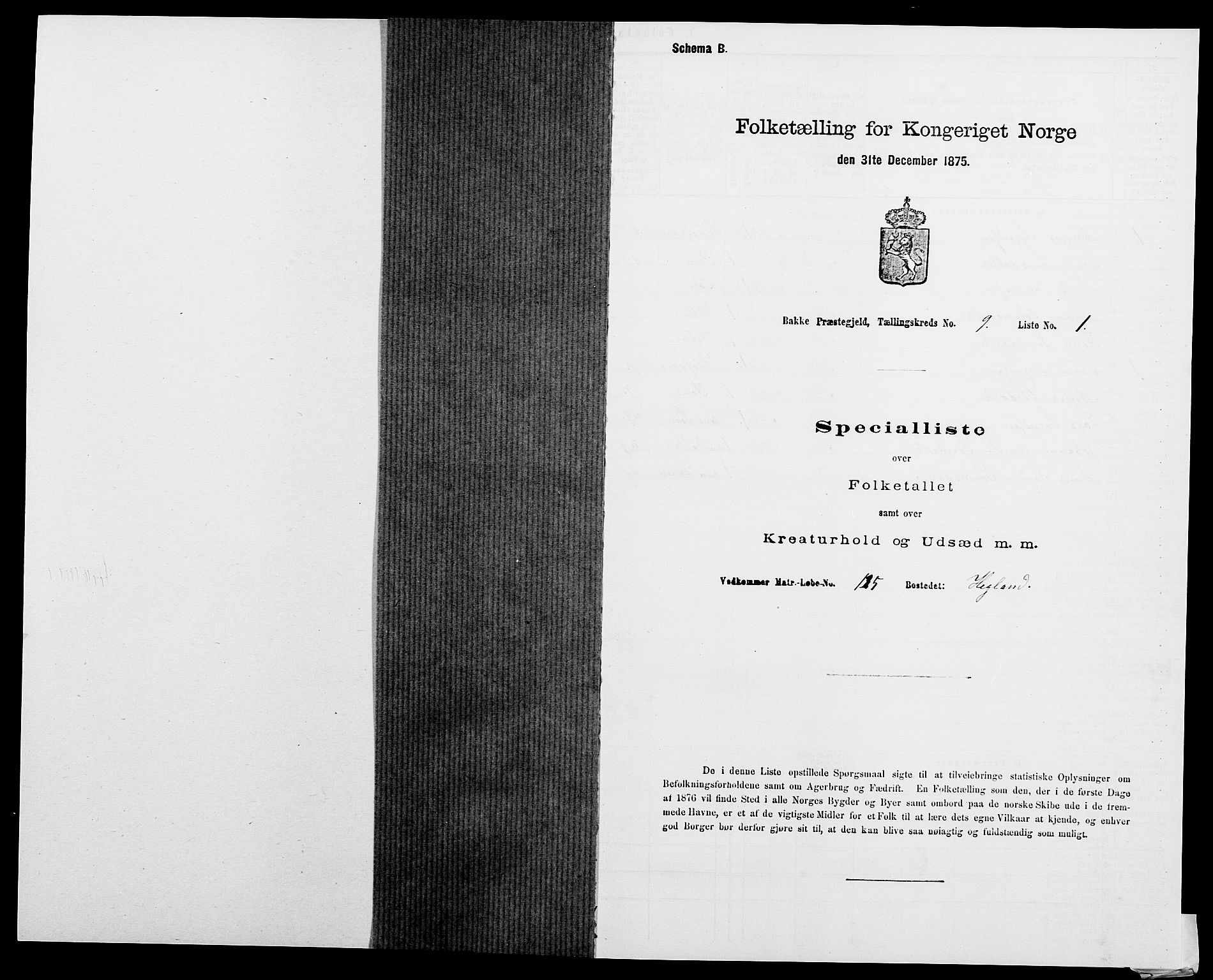SAK, Folketelling 1875 for 1045P Bakke prestegjeld, 1875, s. 913