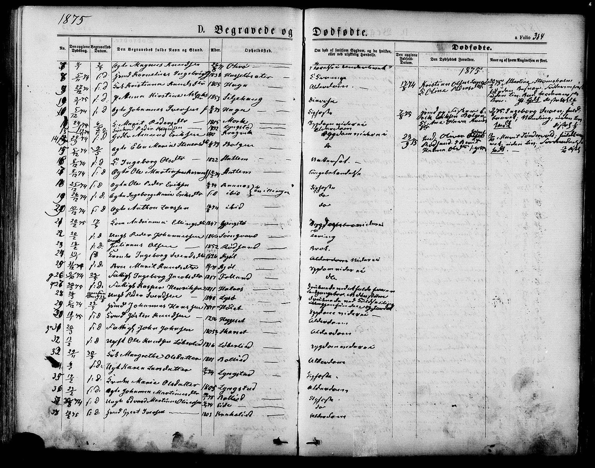Ministerialprotokoller, klokkerbøker og fødselsregistre - Møre og Romsdal, AV/SAT-A-1454/568/L0805: Ministerialbok nr. 568A12 /1, 1869-1884, s. 384