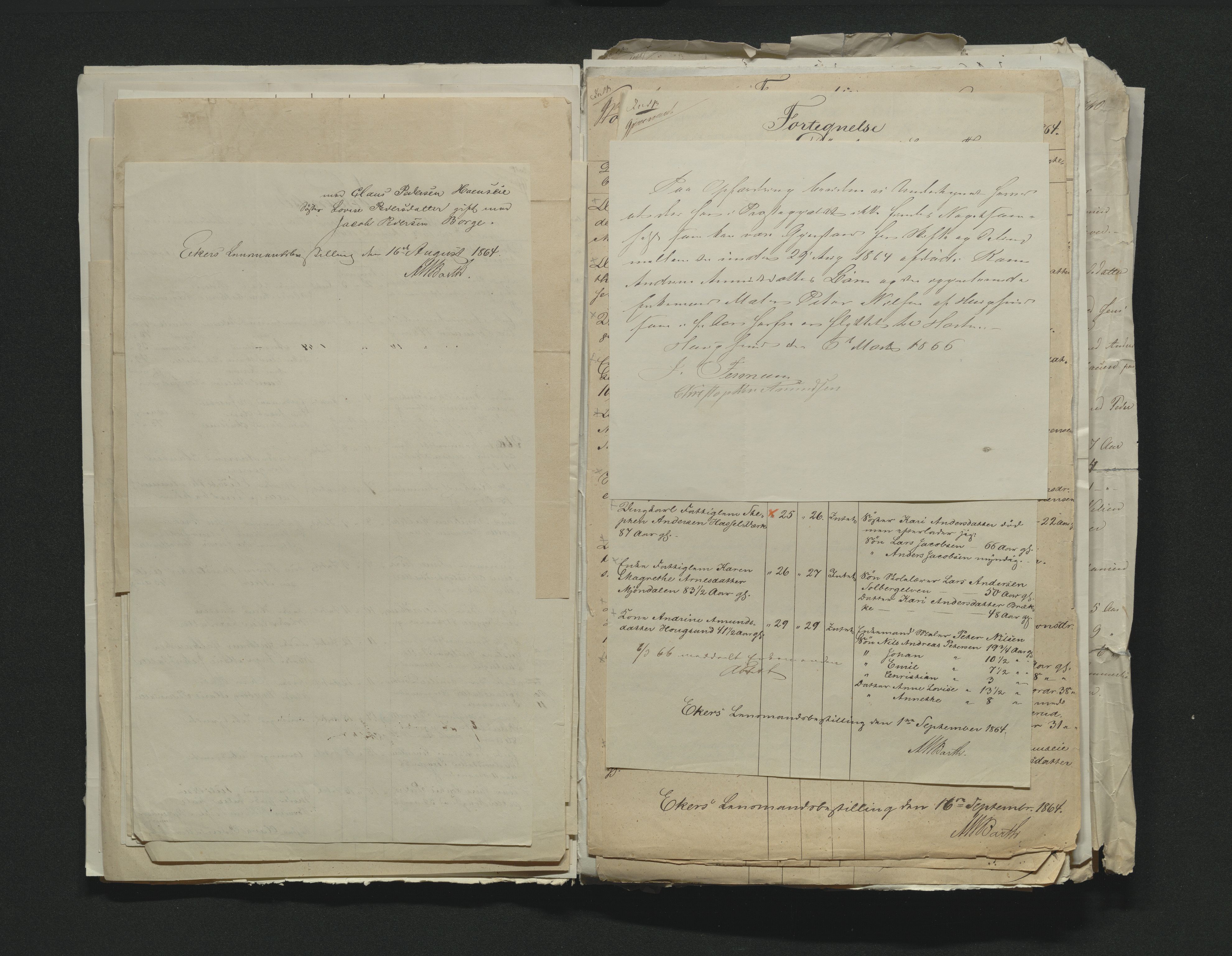 Eiker, Modum og Sigdal sorenskriveri, AV/SAKO-A-123/H/Ha/Hab/L0011: Dødsfallsmeldinger, 1862-1865, s. 378