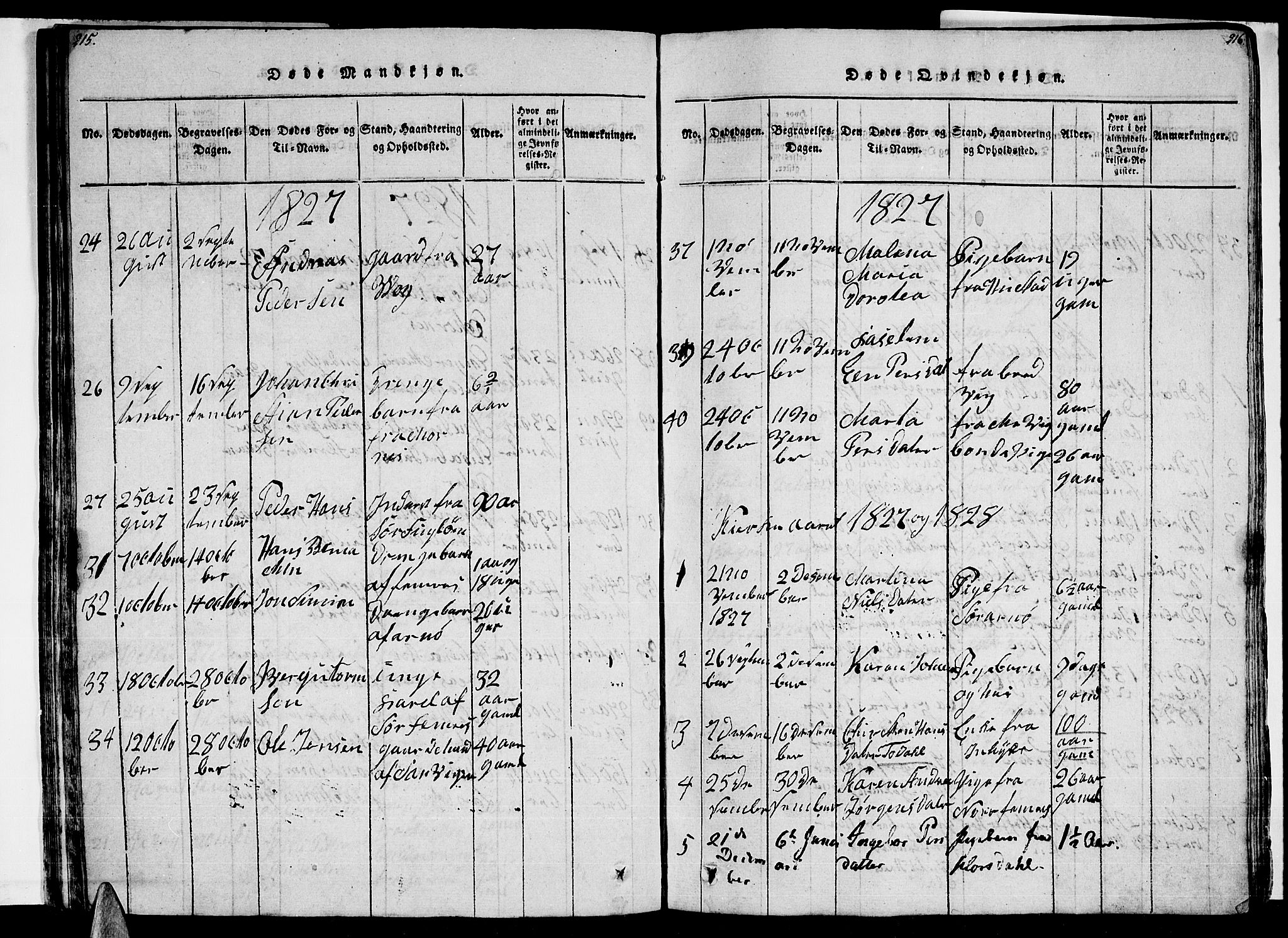 Ministerialprotokoller, klokkerbøker og fødselsregistre - Nordland, AV/SAT-A-1459/805/L0105: Klokkerbok nr. 805C01, 1820-1839, s. 215-216