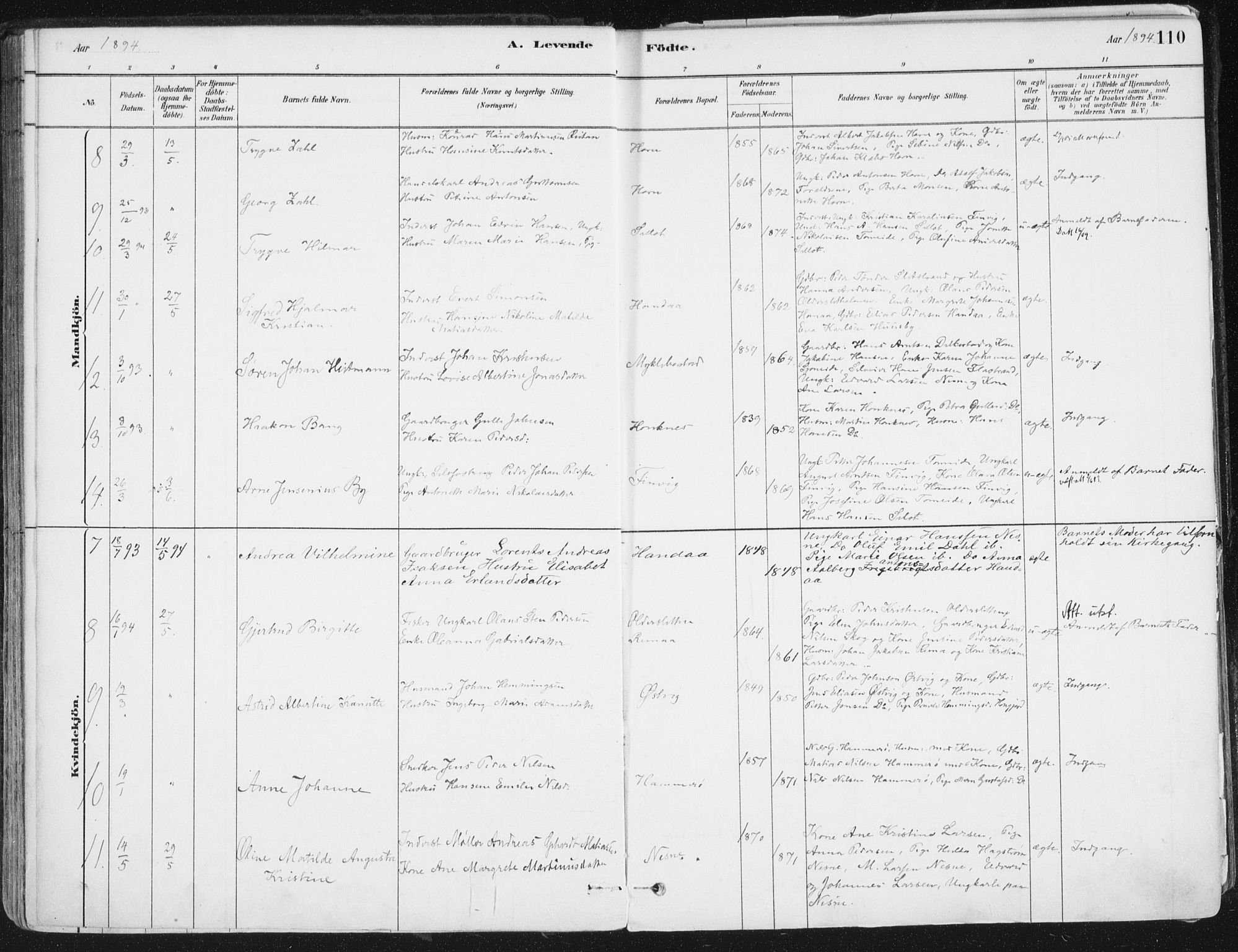 Ministerialprotokoller, klokkerbøker og fødselsregistre - Nordland, AV/SAT-A-1459/838/L0552: Ministerialbok nr. 838A10, 1880-1910, s. 110