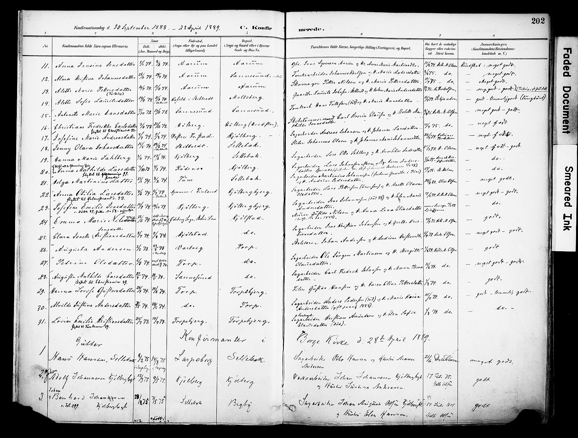 Borge prestekontor Kirkebøker, AV/SAO-A-10903/F/Fa/L0008: Ministerialbok nr. I 8B, 1887-1902, s. 202