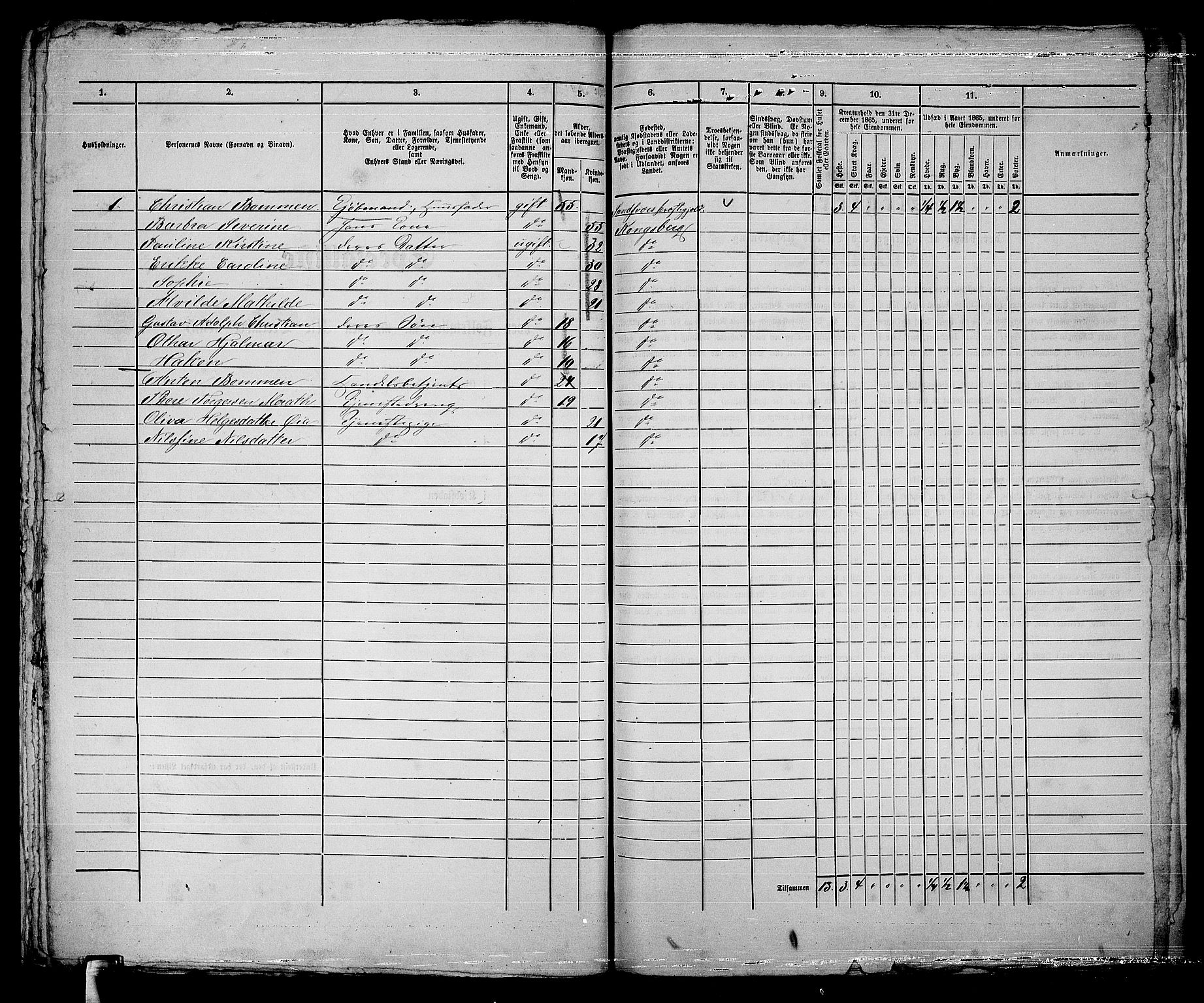 RA, Folketelling 1865 for 0604B Kongsberg prestegjeld, Kongsberg kjøpstad, 1865, s. 457