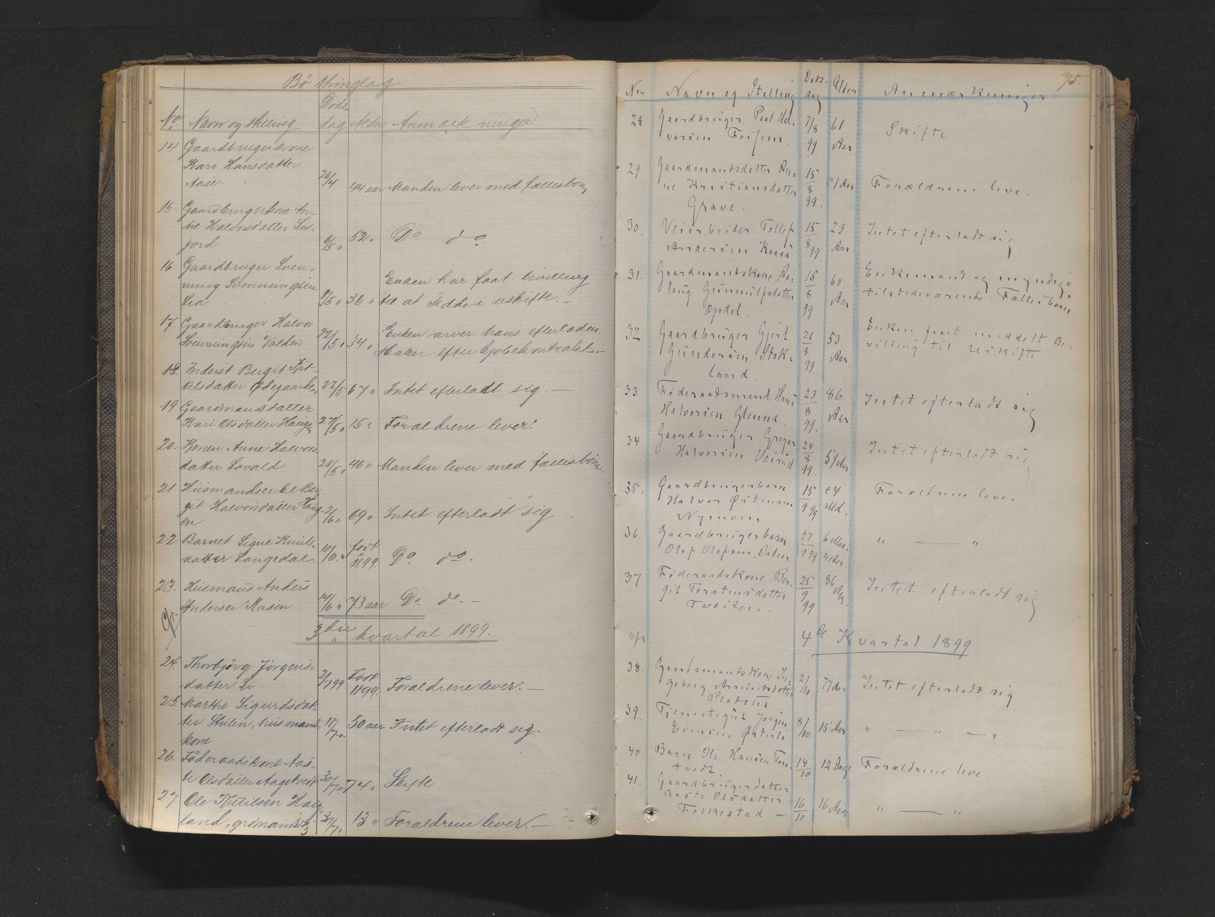 Nedre Telemark sorenskriveri, AV/SAKO-A-135/H/Ha/Haa/L0001: Dødsanmeldeldelsesprotokoll, 1867-1901, s. 74b-75a