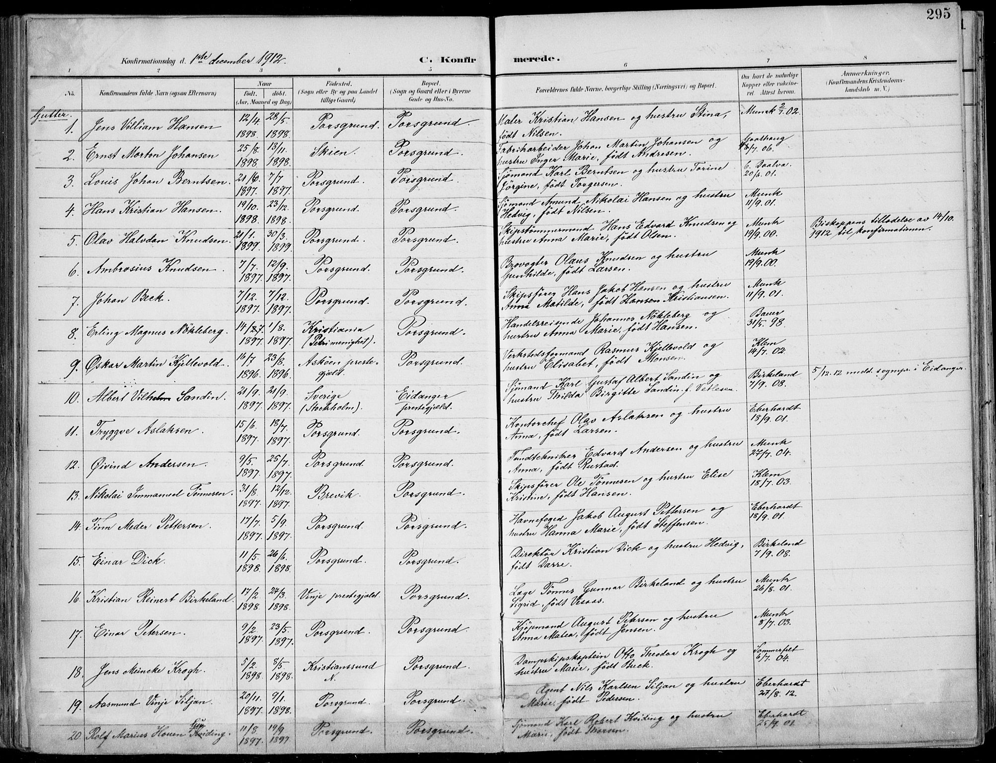 Porsgrunn kirkebøker , AV/SAKO-A-104/F/Fa/L0011: Ministerialbok nr. 11, 1895-1919, s. 295