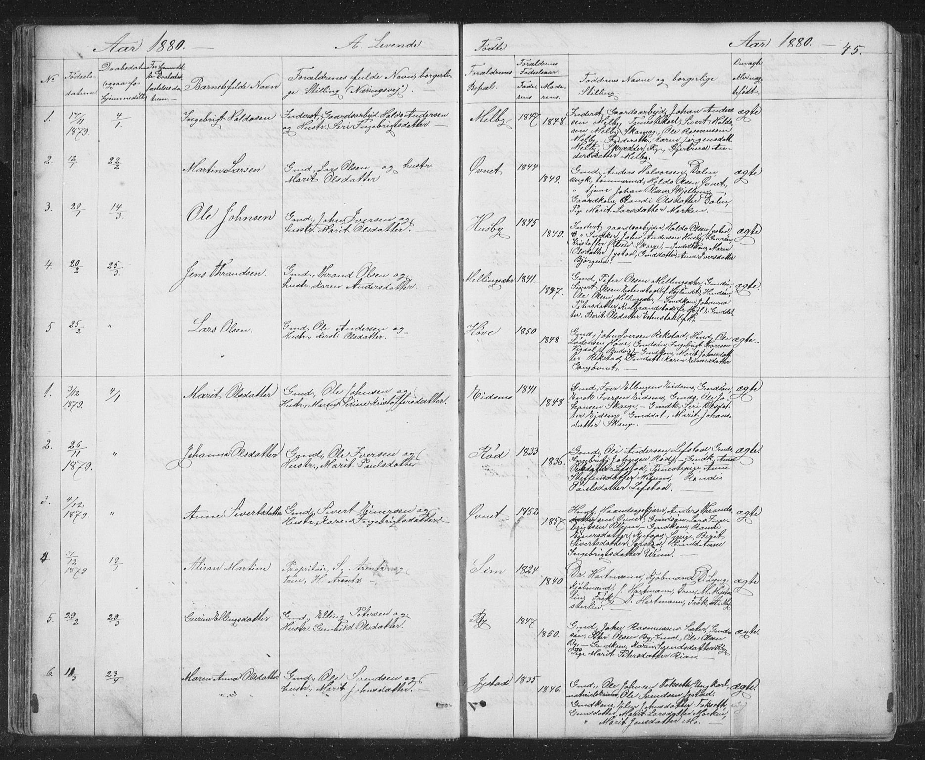 Ministerialprotokoller, klokkerbøker og fødselsregistre - Sør-Trøndelag, AV/SAT-A-1456/667/L0798: Klokkerbok nr. 667C03, 1867-1929, s. 45