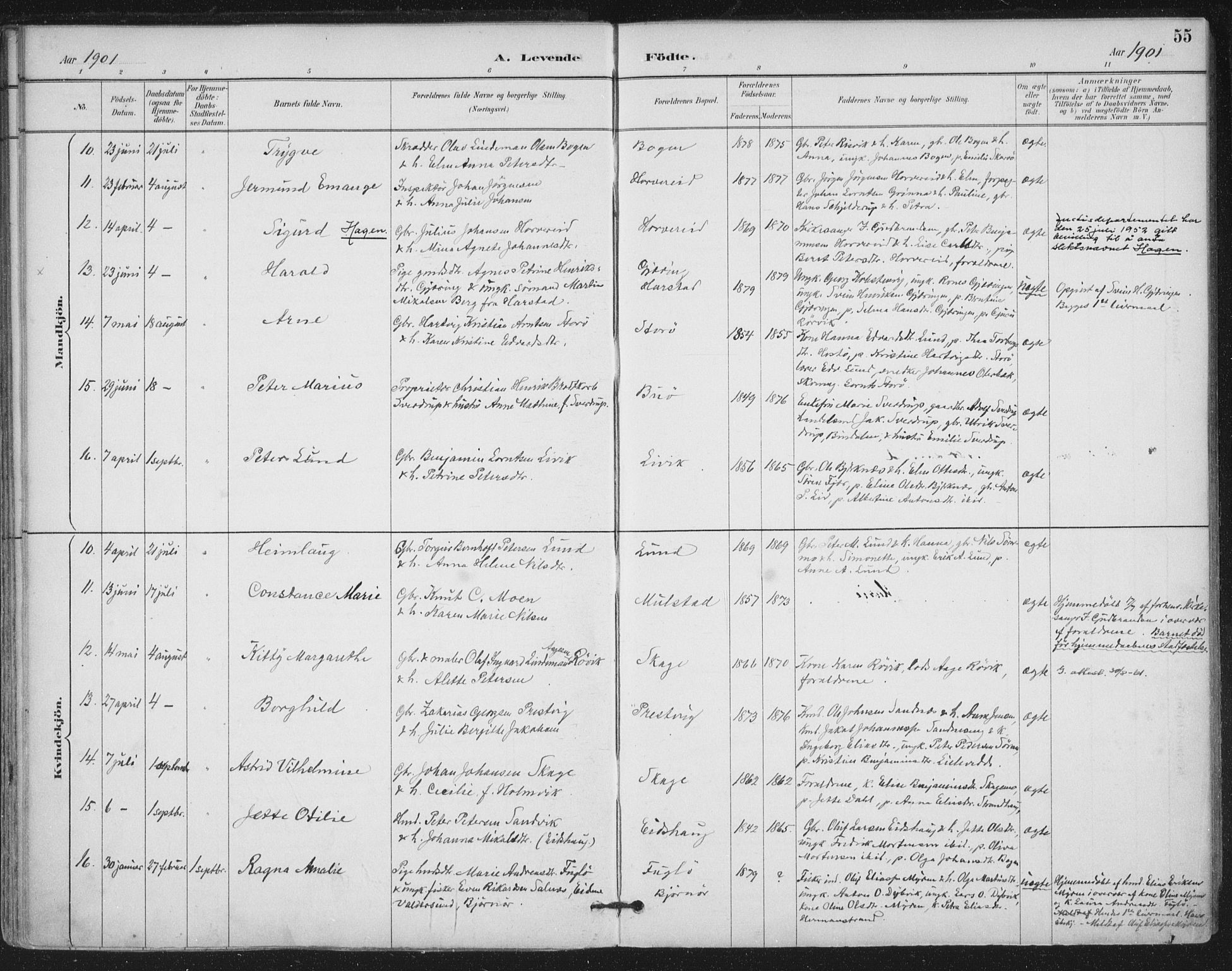 Ministerialprotokoller, klokkerbøker og fødselsregistre - Nord-Trøndelag, SAT/A-1458/780/L0644: Ministerialbok nr. 780A08, 1886-1903, s. 55
