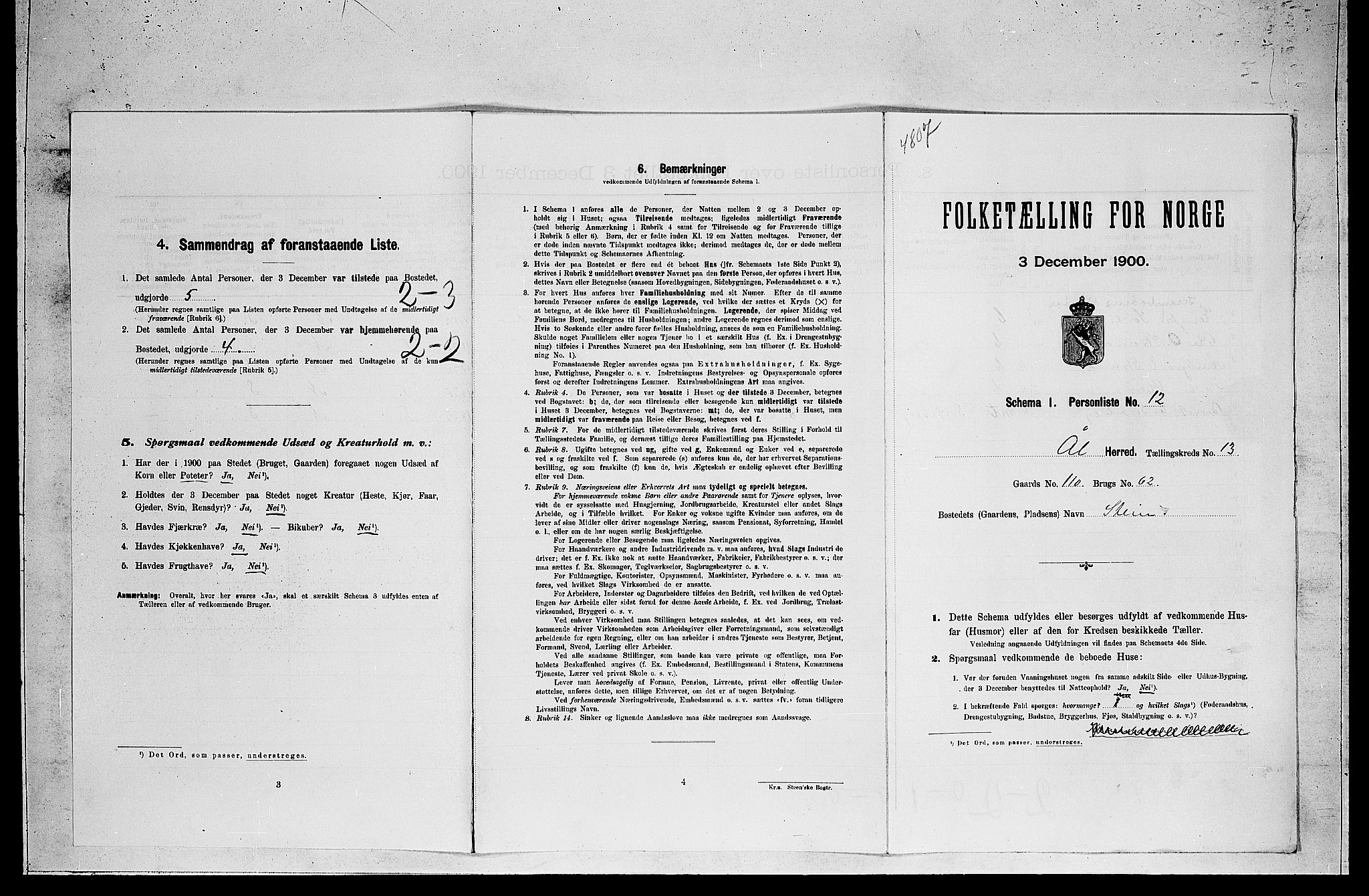 RA, Folketelling 1900 for 0619 Ål herred, 1900, s. 1024