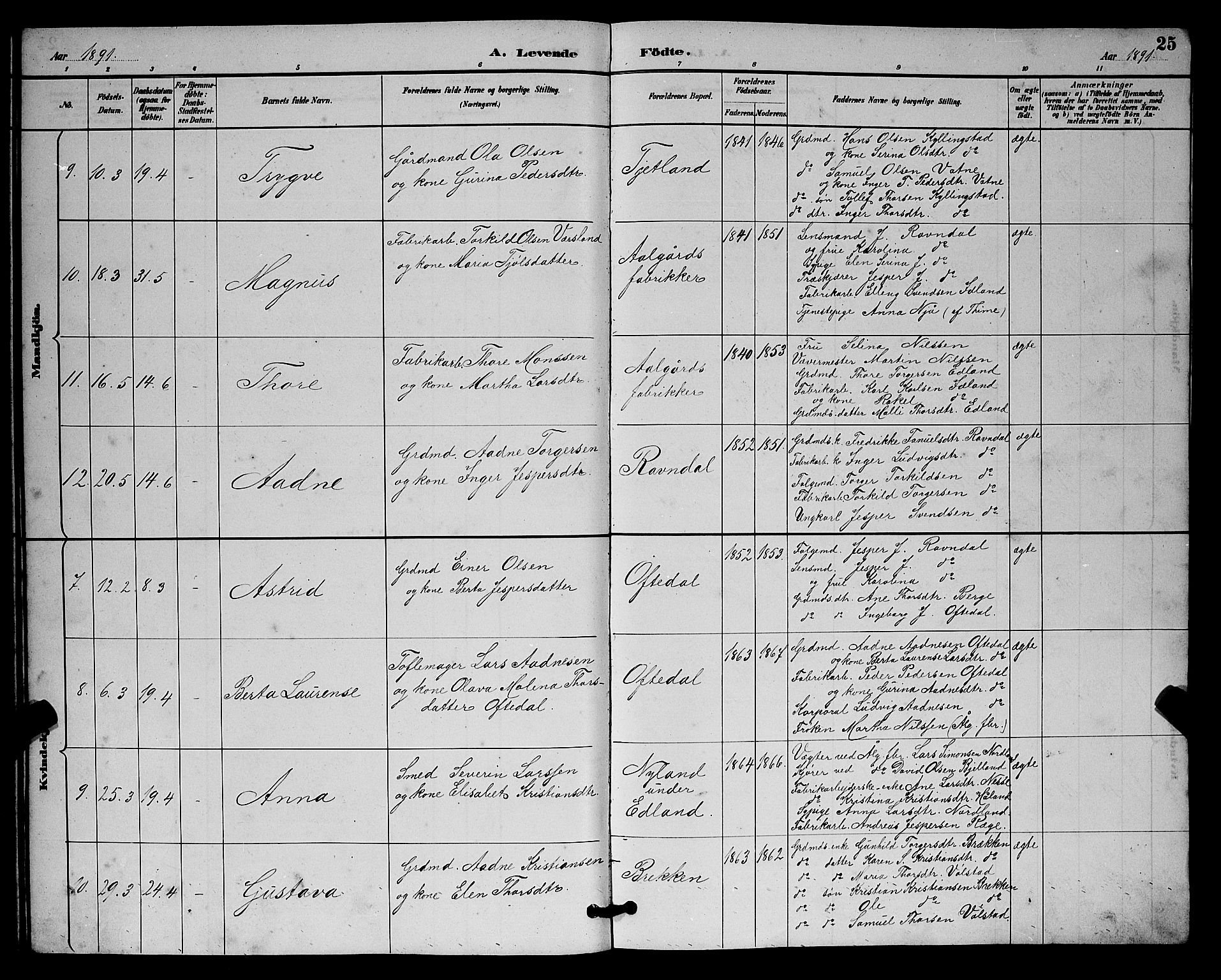 Lye sokneprestkontor, AV/SAST-A-101794/001/30BB/L0008: Klokkerbok nr. B 7, 1887-1901, s. 25