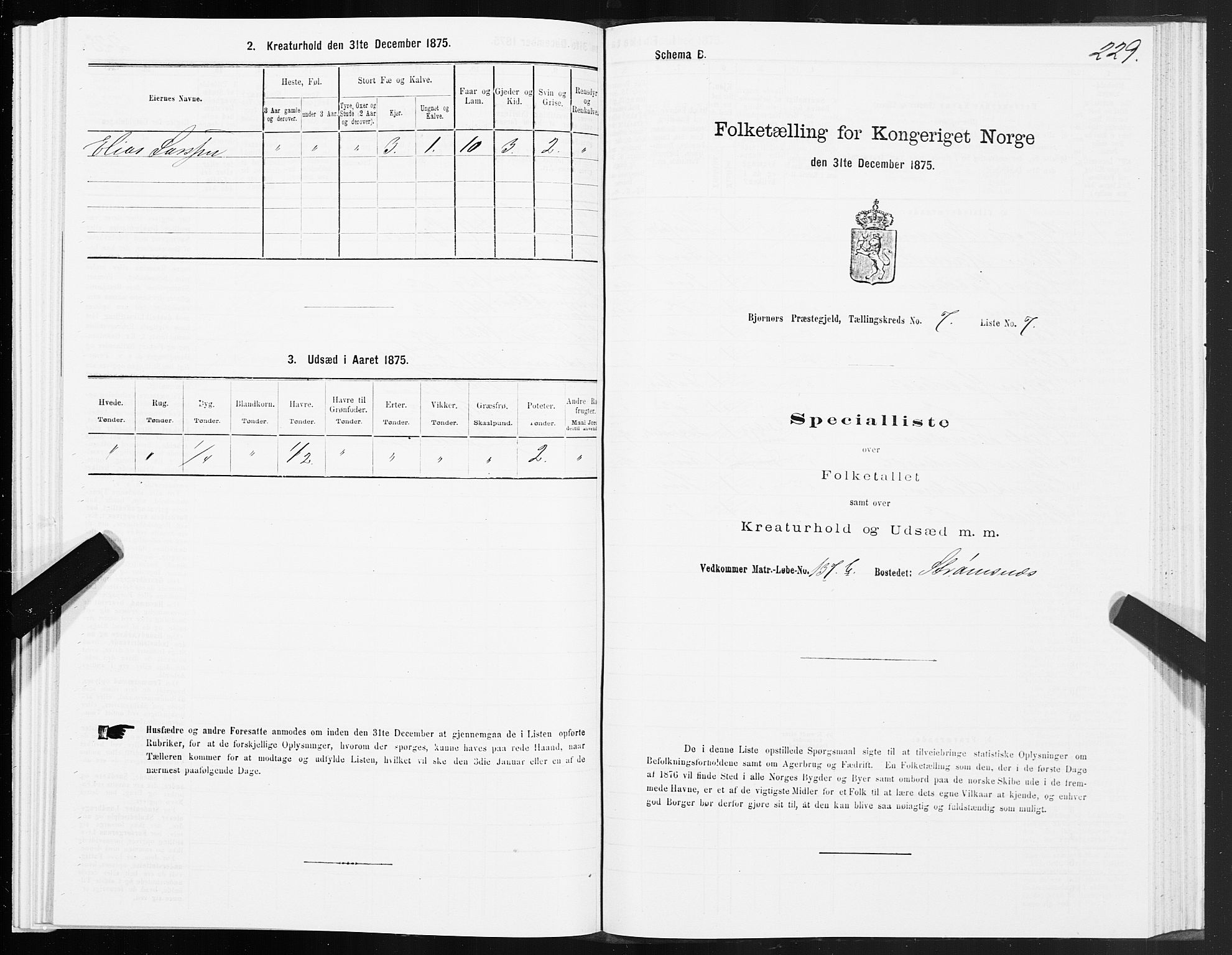 SAT, Folketelling 1875 for 1632P Bjørnør prestegjeld, 1875, s. 3229
