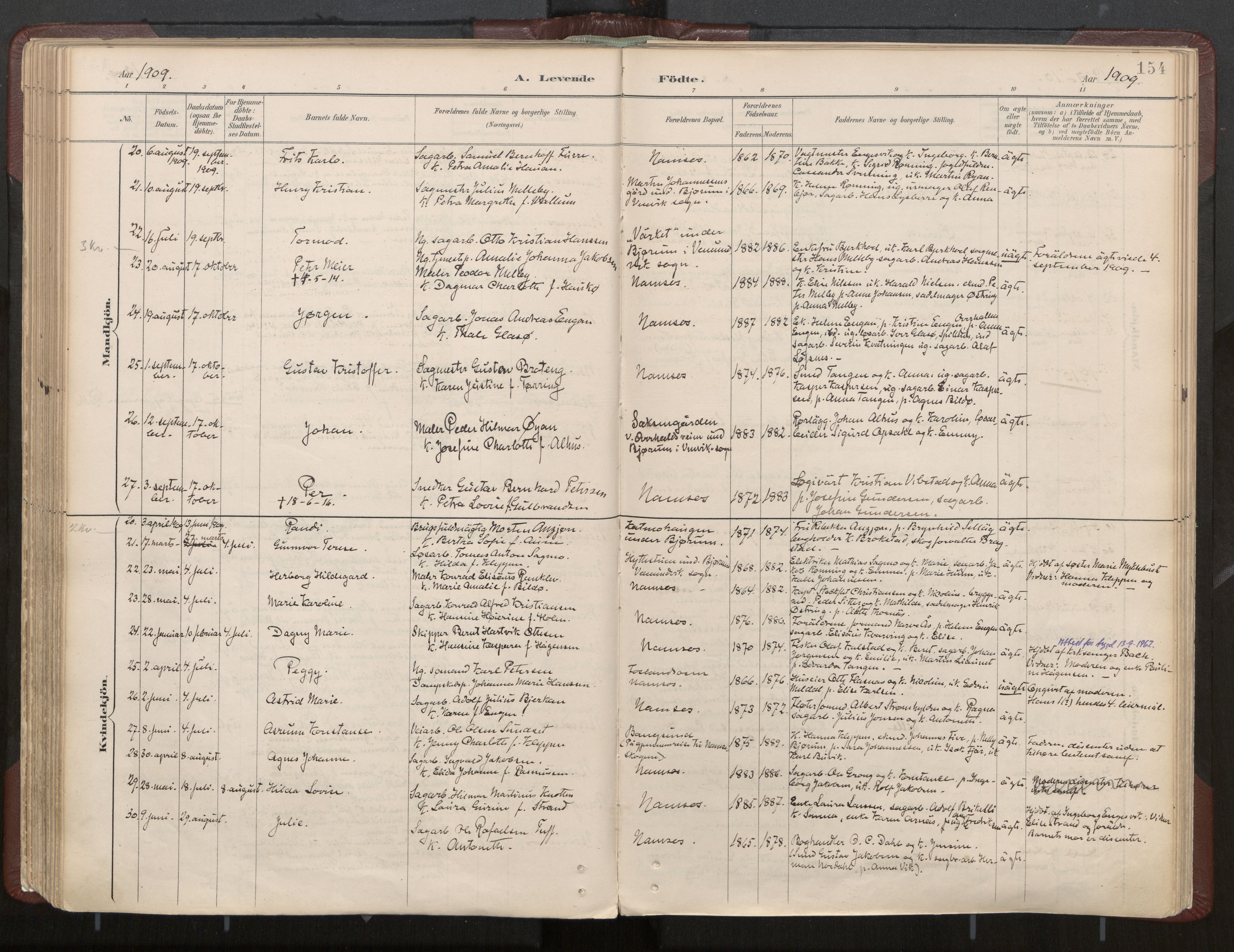 Ministerialprotokoller, klokkerbøker og fødselsregistre - Nord-Trøndelag, AV/SAT-A-1458/768/L0574: Ministerialbok nr. 768A08, 1887-1927, s. 154