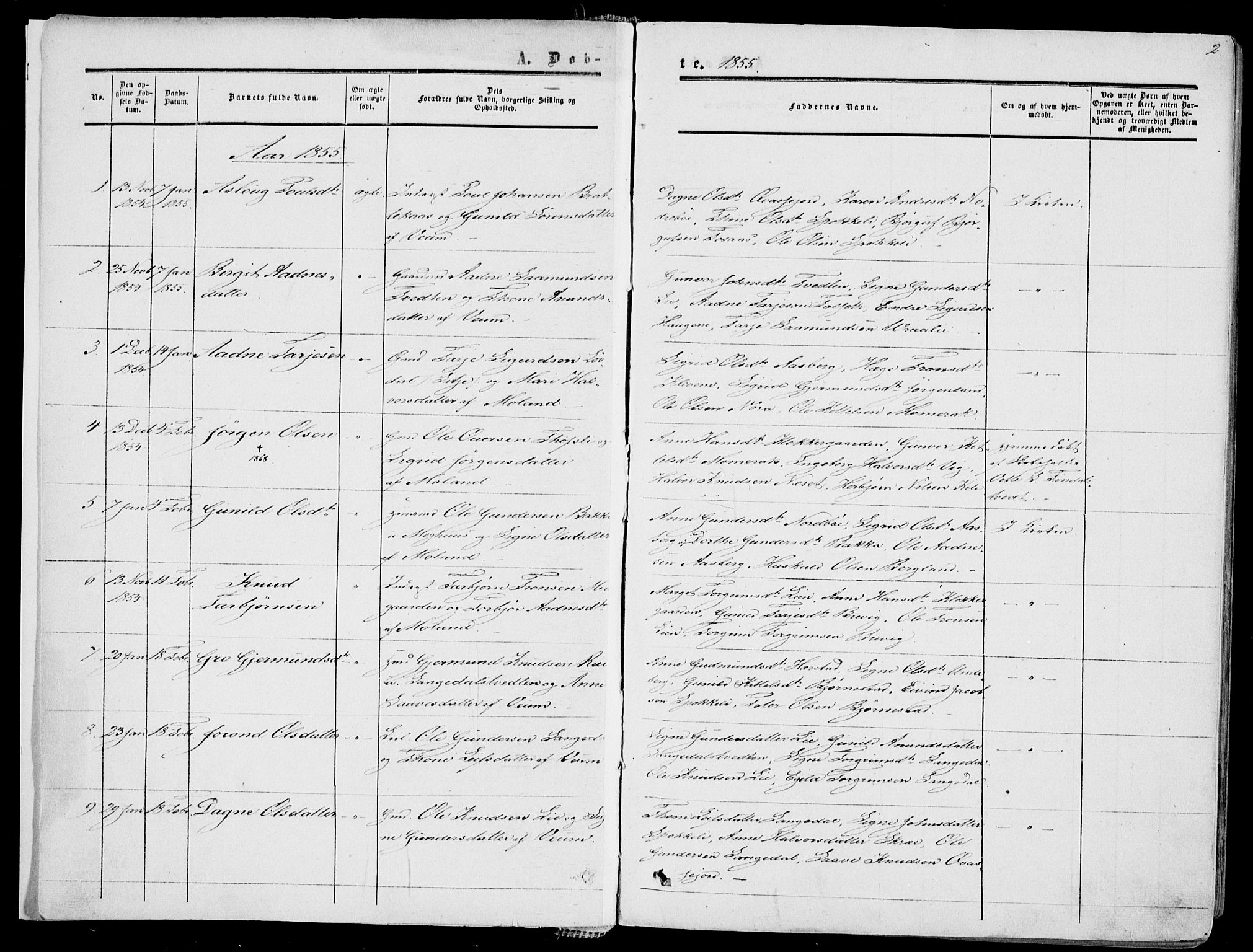 Fyresdal kirkebøker, AV/SAKO-A-263/F/Fa/L0005: Ministerialbok nr. I 5, 1855-1871, s. 2