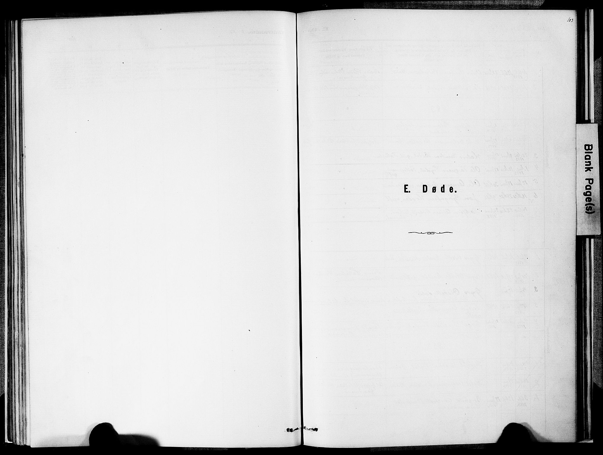 Valle sokneprestkontor, SAK/1111-0044/F/Fa/Faa/L0001: Ministerialbok nr. A 1, 1882-1907, s. 103