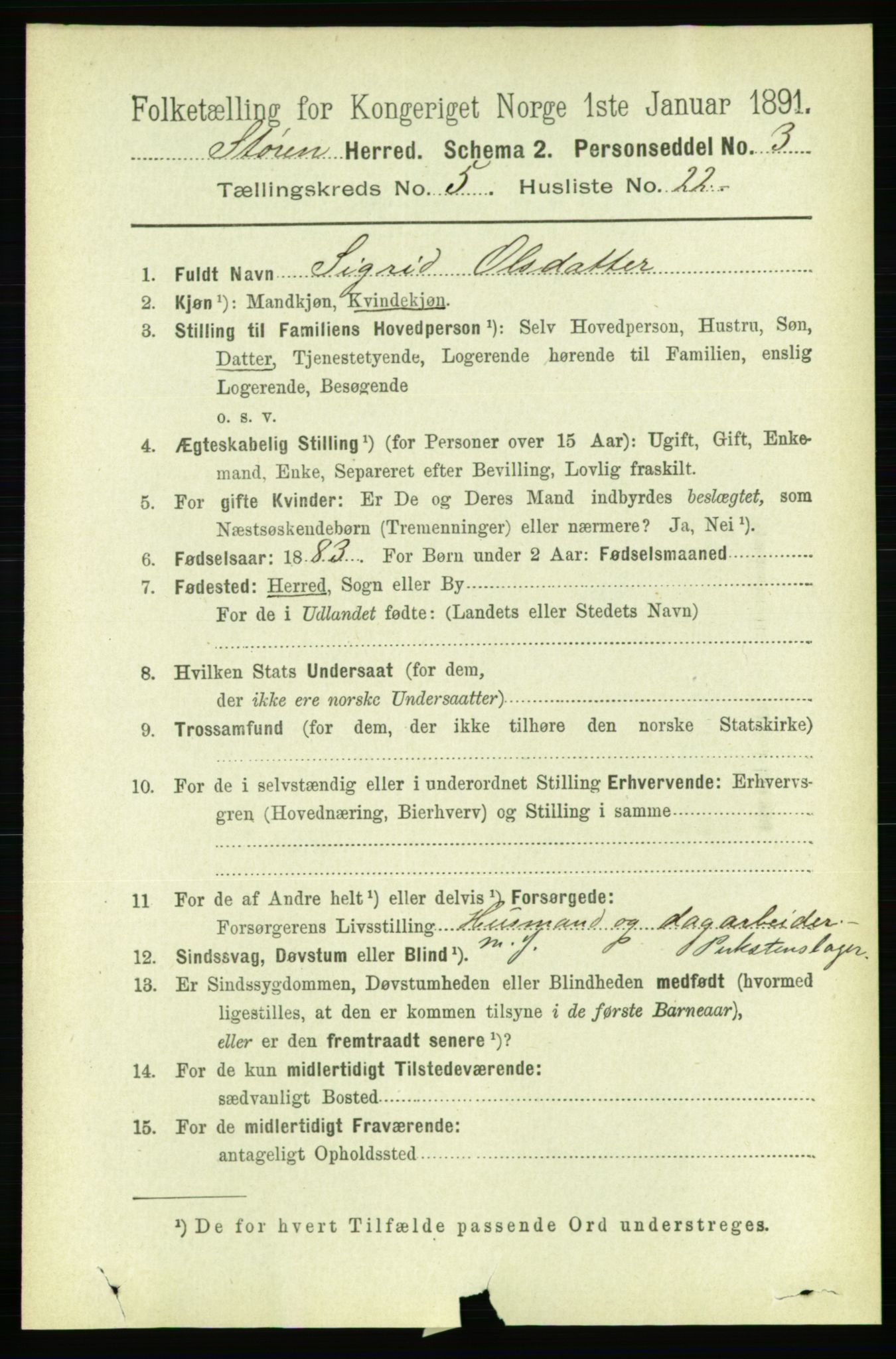 RA, Folketelling 1891 for 1648 Støren herred, 1891, s. 2062