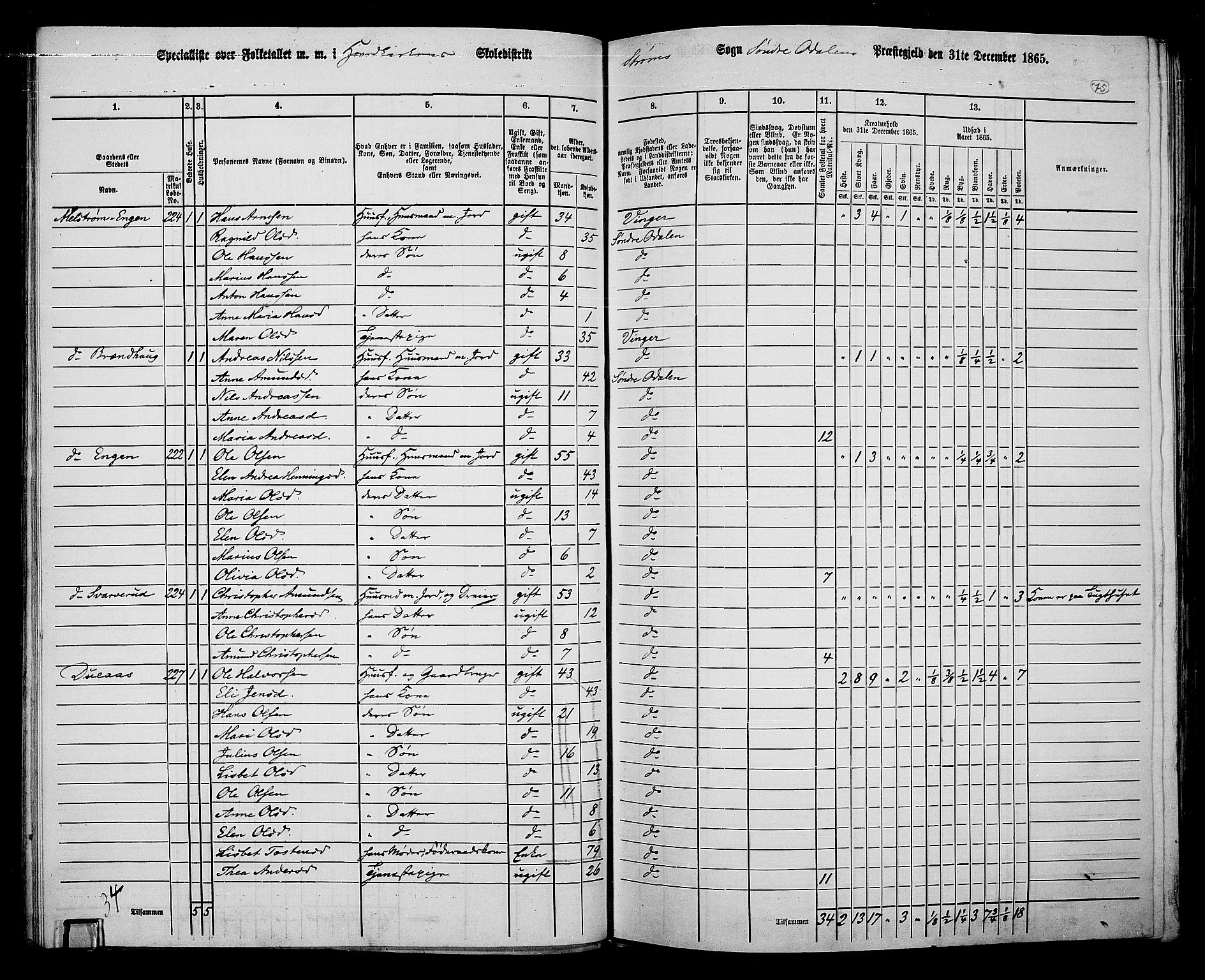 RA, Folketelling 1865 for 0419P Sør-Odal prestegjeld, 1865, s. 65