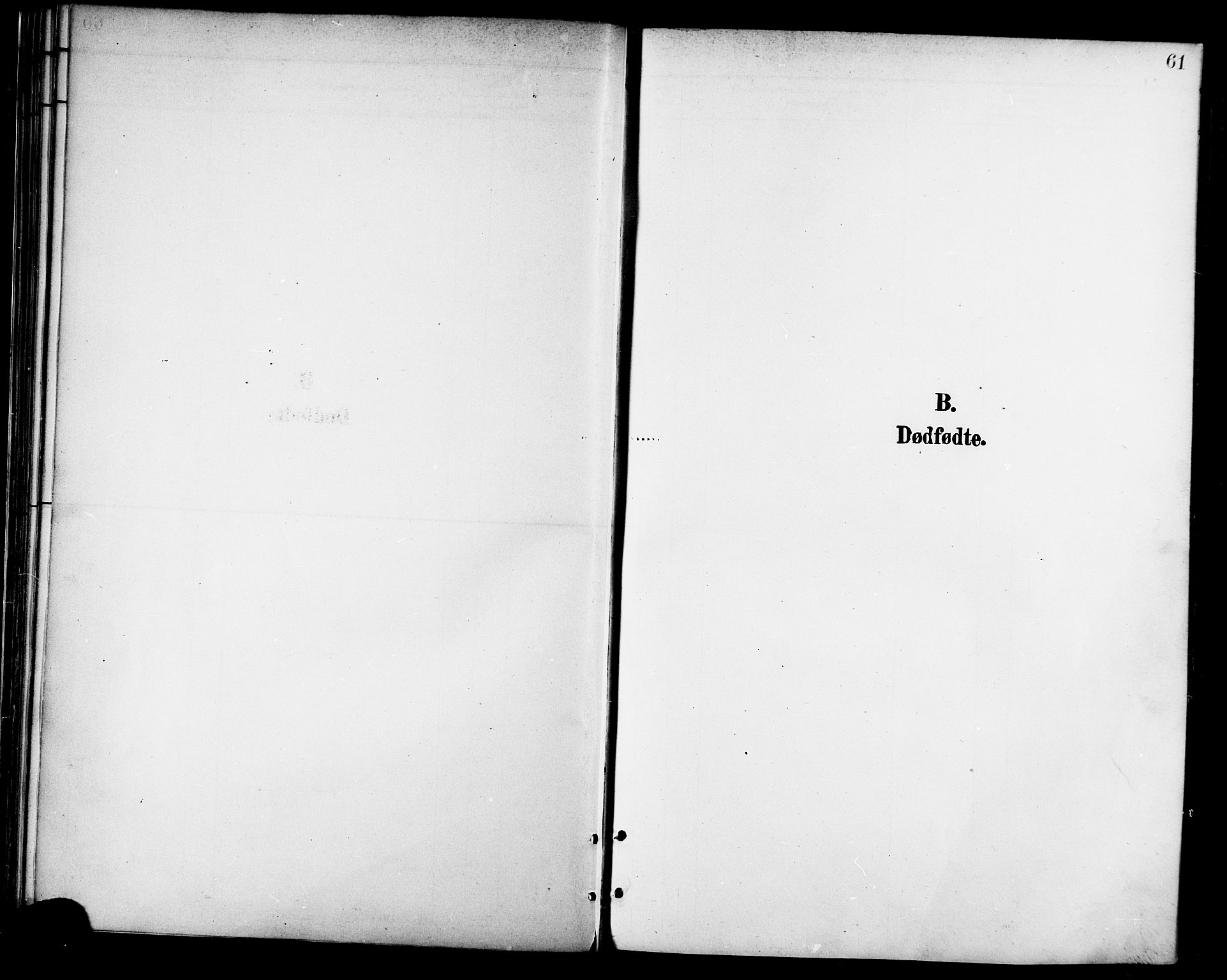 Ministerialprotokoller, klokkerbøker og fødselsregistre - Nordland, AV/SAT-A-1459/865/L0924: Ministerialbok nr. 865A02, 1885-1896, s. 61