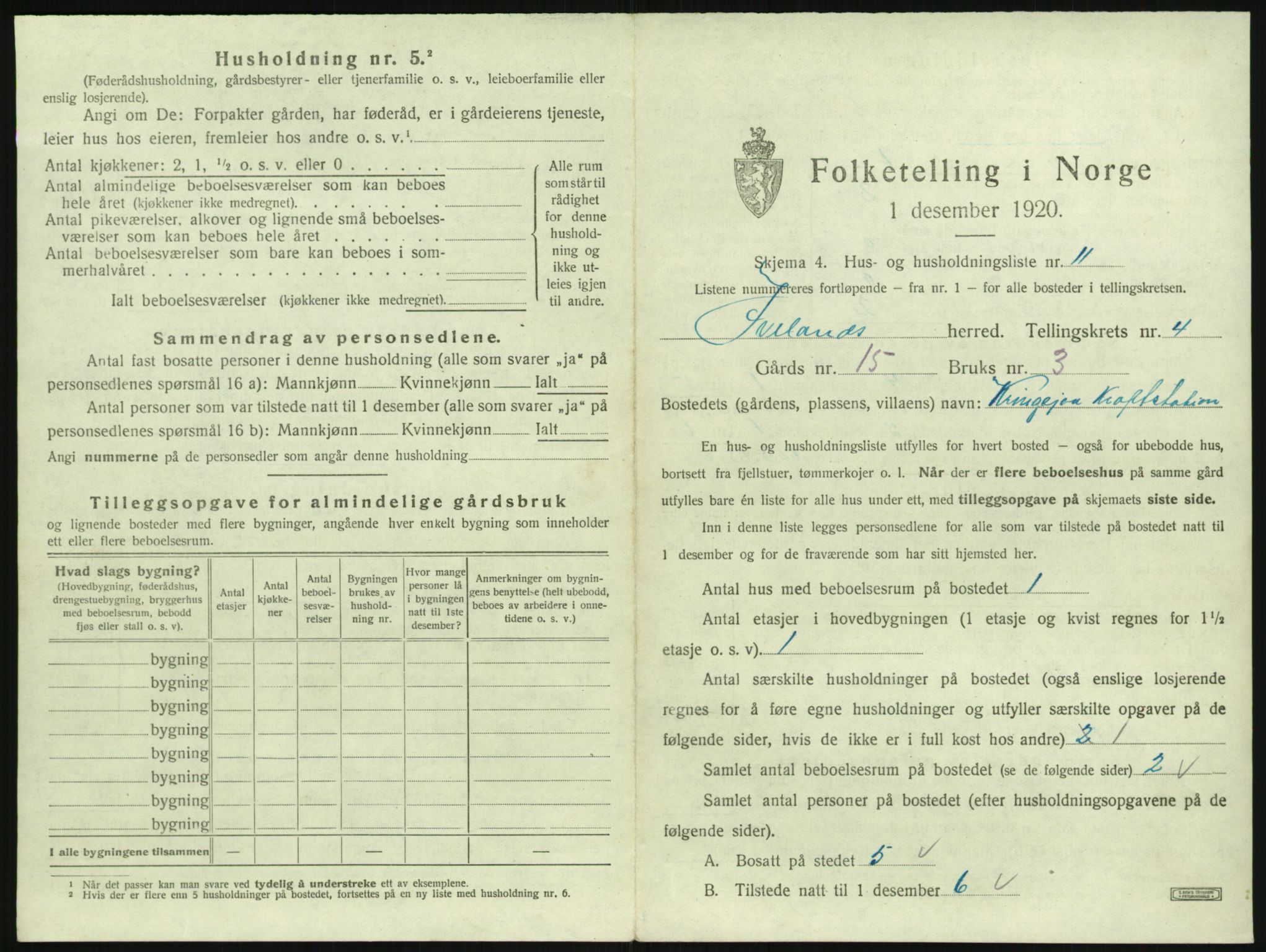 SAK, Folketelling 1920 for 0935 Iveland herred, 1920, s. 213