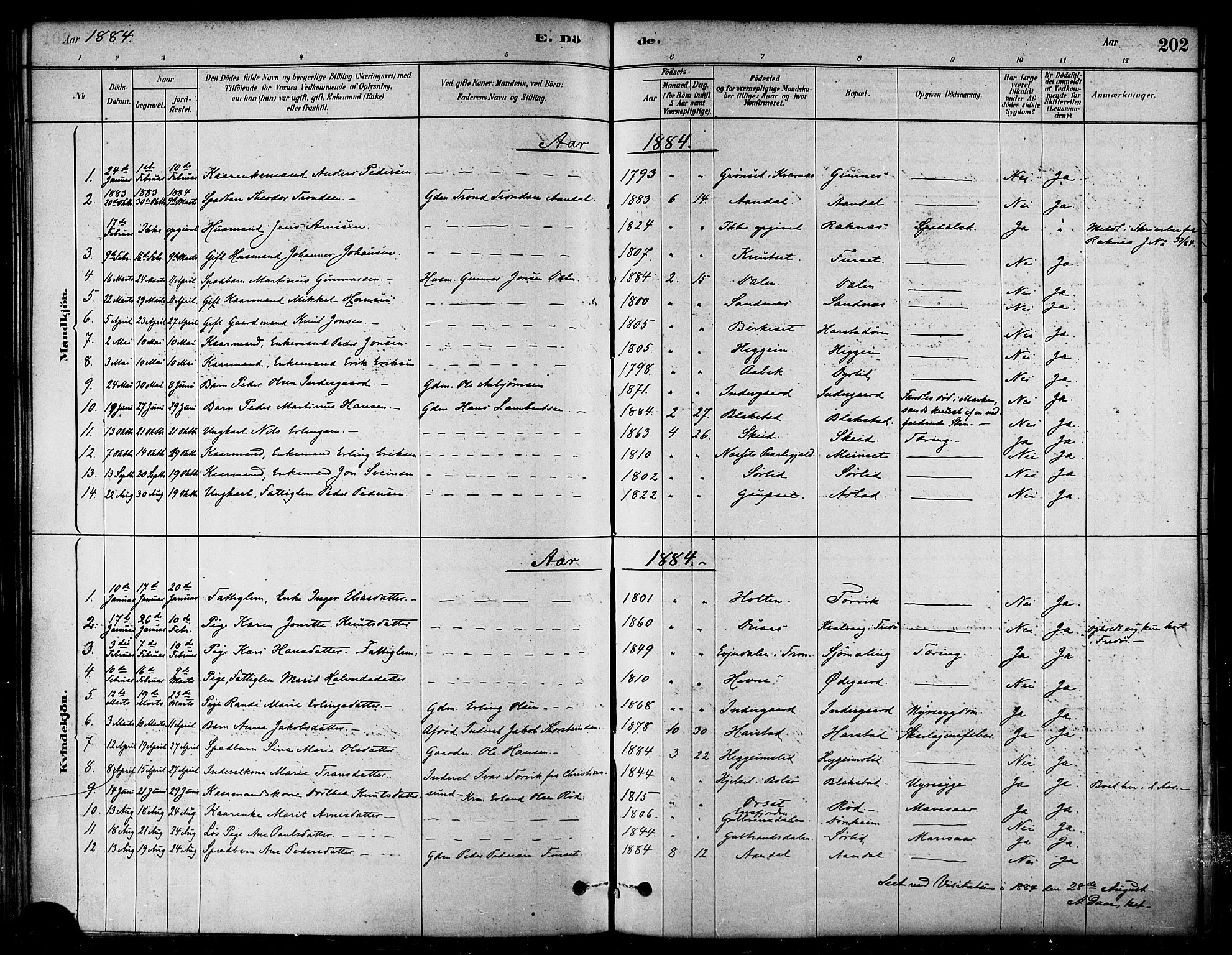 Ministerialprotokoller, klokkerbøker og fødselsregistre - Møre og Romsdal, SAT/A-1454/584/L0967: Ministerialbok nr. 584A07, 1879-1894, s. 202