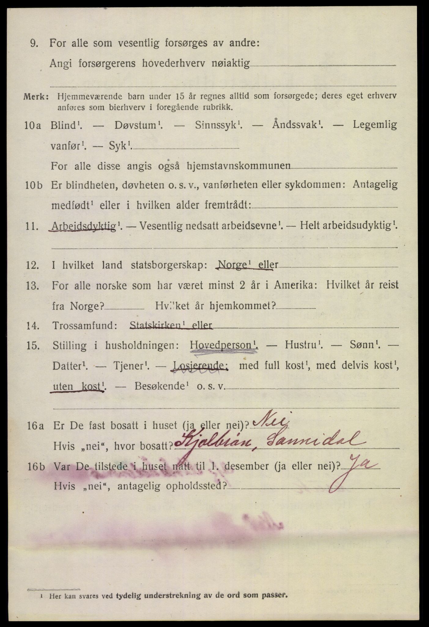 SAKO, Folketelling 1920 for 0815 Skåtøy herred, 1920, s. 4269