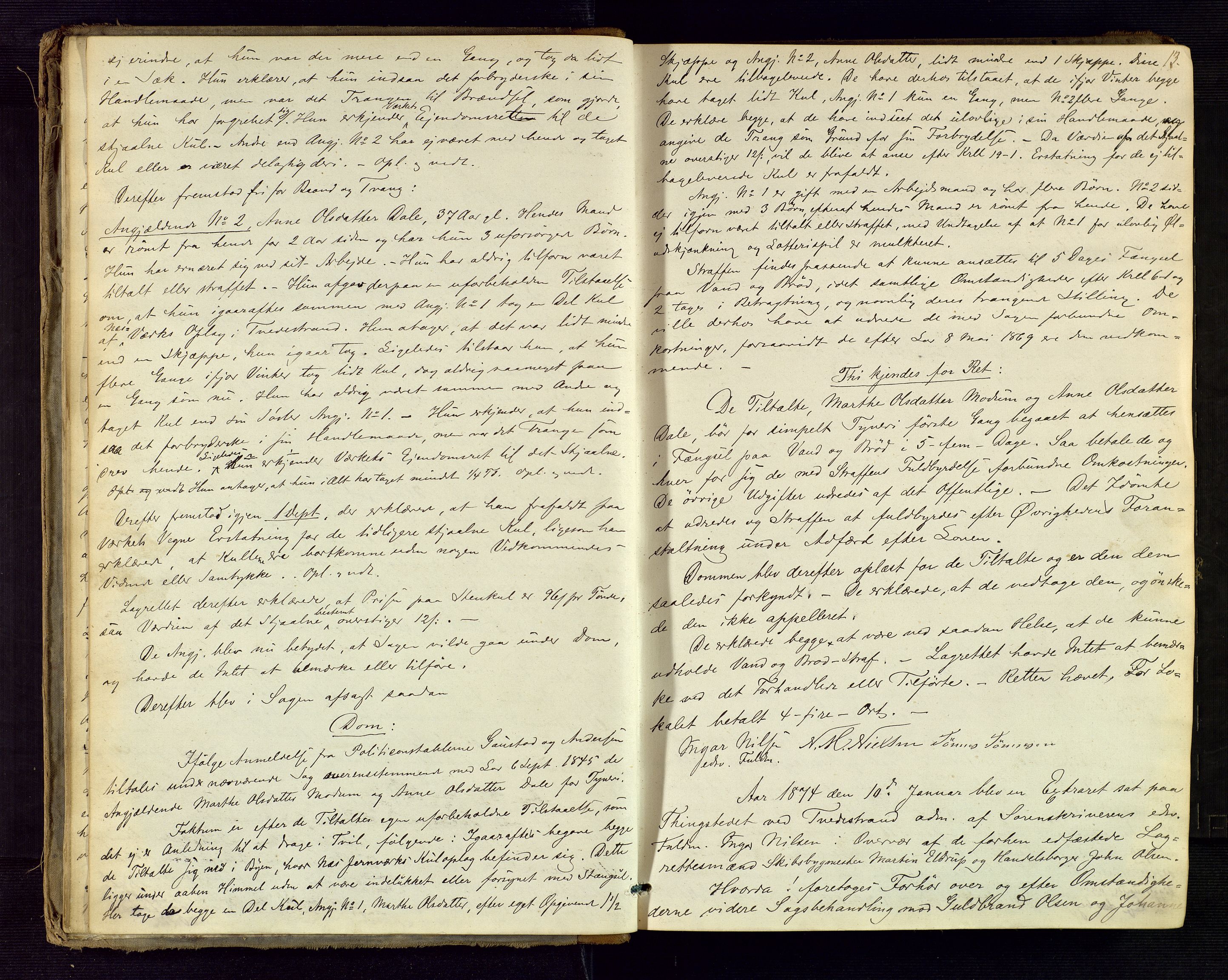 Holt sorenskriveri, AV/SAK-1221-0002/F/Fb/L0003: Ekstraretts- og forhørsrettsprotokoll nr 3, 1873-1876, s. 13