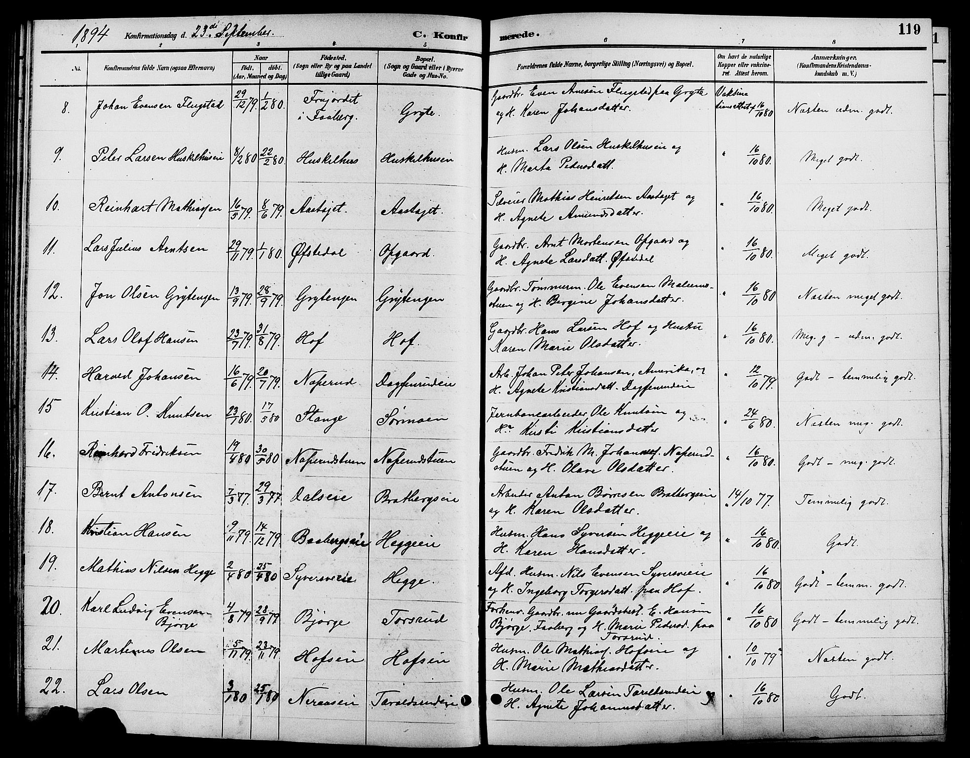 Biri prestekontor, AV/SAH-PREST-096/H/Ha/Hab/L0004: Klokkerbok nr. 4, 1892-1909, s. 119