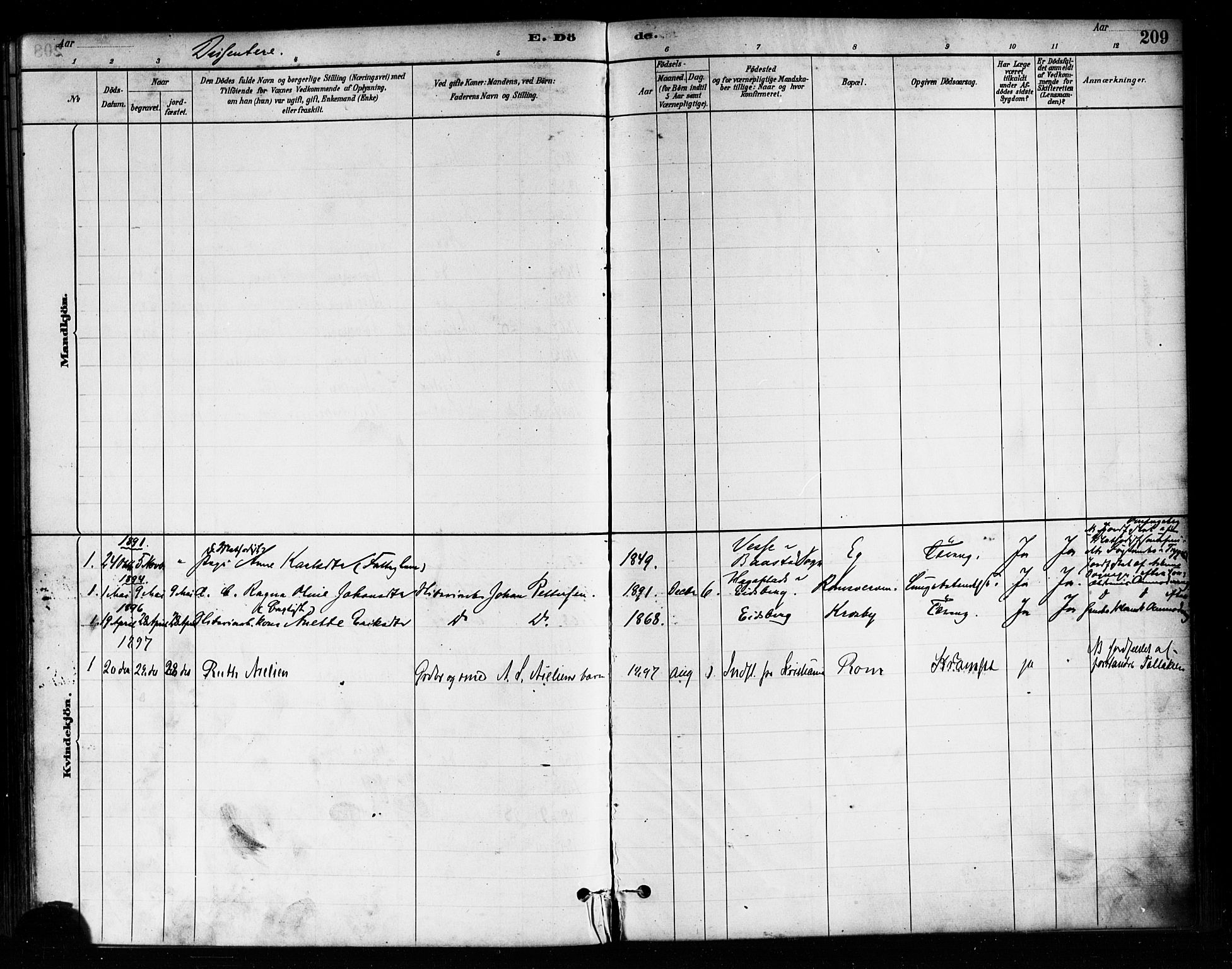 Askim prestekontor Kirkebøker, AV/SAO-A-10900/F/Fa/L0007: Ministerialbok nr. 7, 1882-1897, s. 209