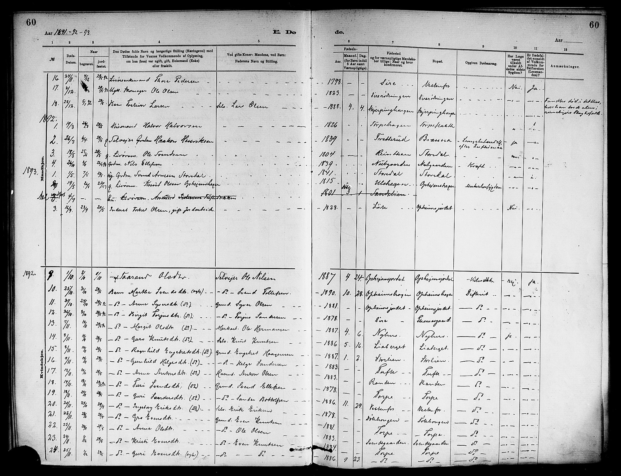 Ål kirkebøker, AV/SAKO-A-249/F/Fb/L0001: Ministerialbok nr. II 1, 1882-1899, s. 60