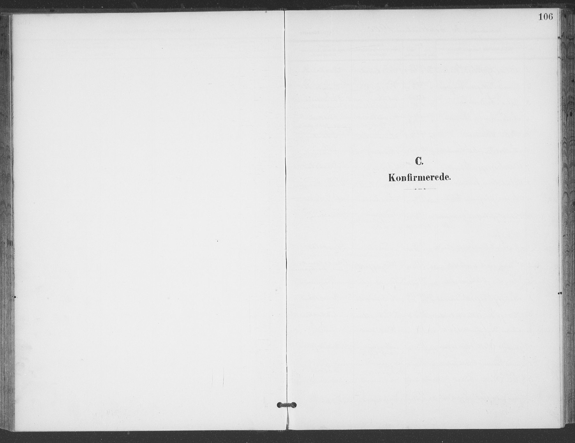 Åmli sokneprestkontor, AV/SAK-1111-0050/F/Fa/Fac/L0012: Ministerialbok nr. A 12, 1900-1914, s. 106