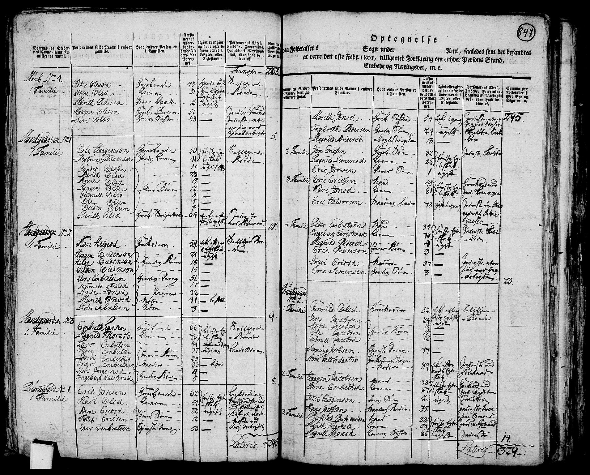 RA, Folketelling 1801 for 0432P Rendalen prestegjeld, 1801, s. 846b-847a