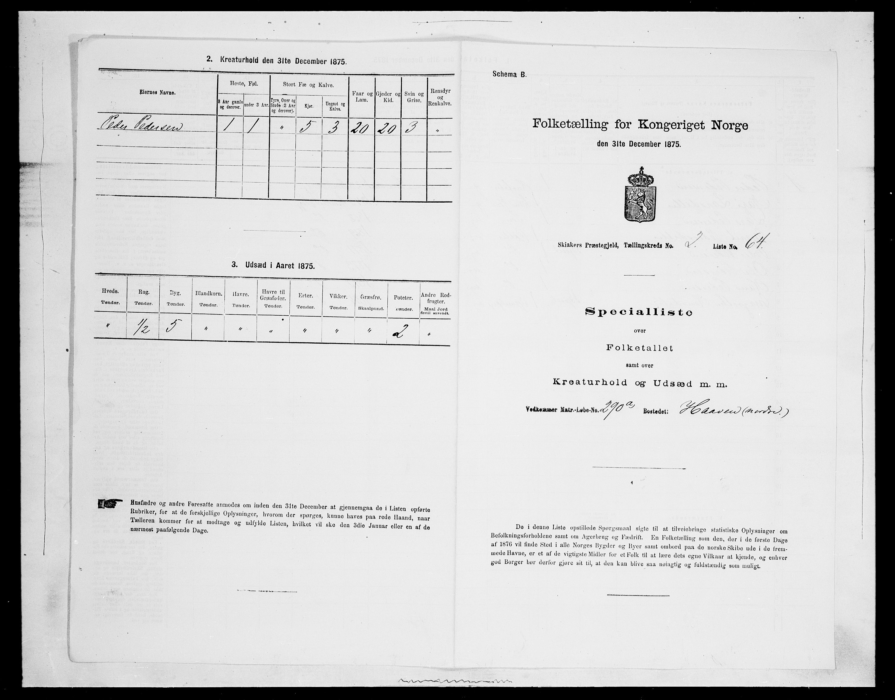 SAH, Folketelling 1875 for 0513P Skjåk prestegjeld, 1875, s. 290