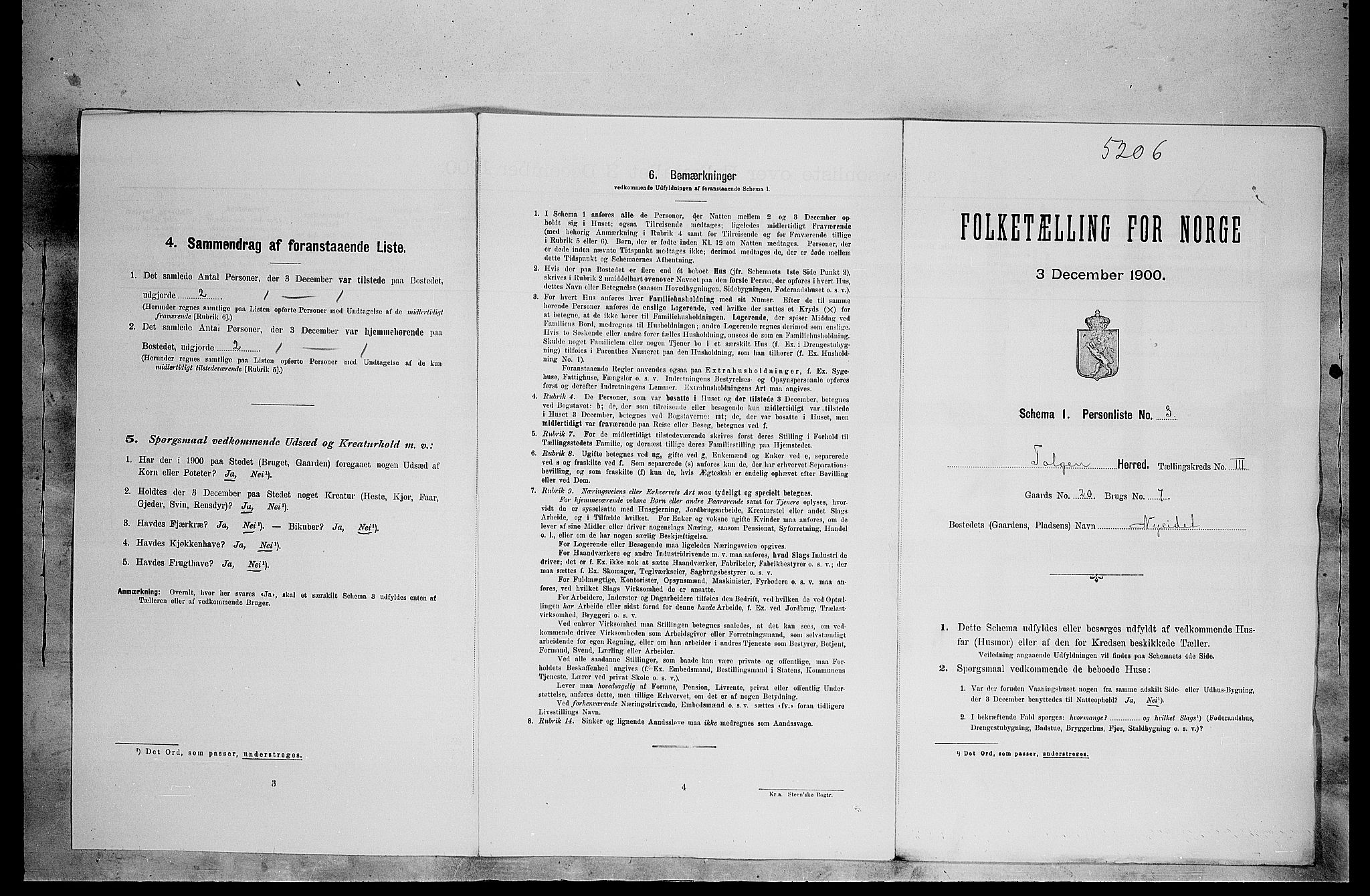 SAH, Folketelling 1900 for 0436 Tolga herred, 1900, s. 302