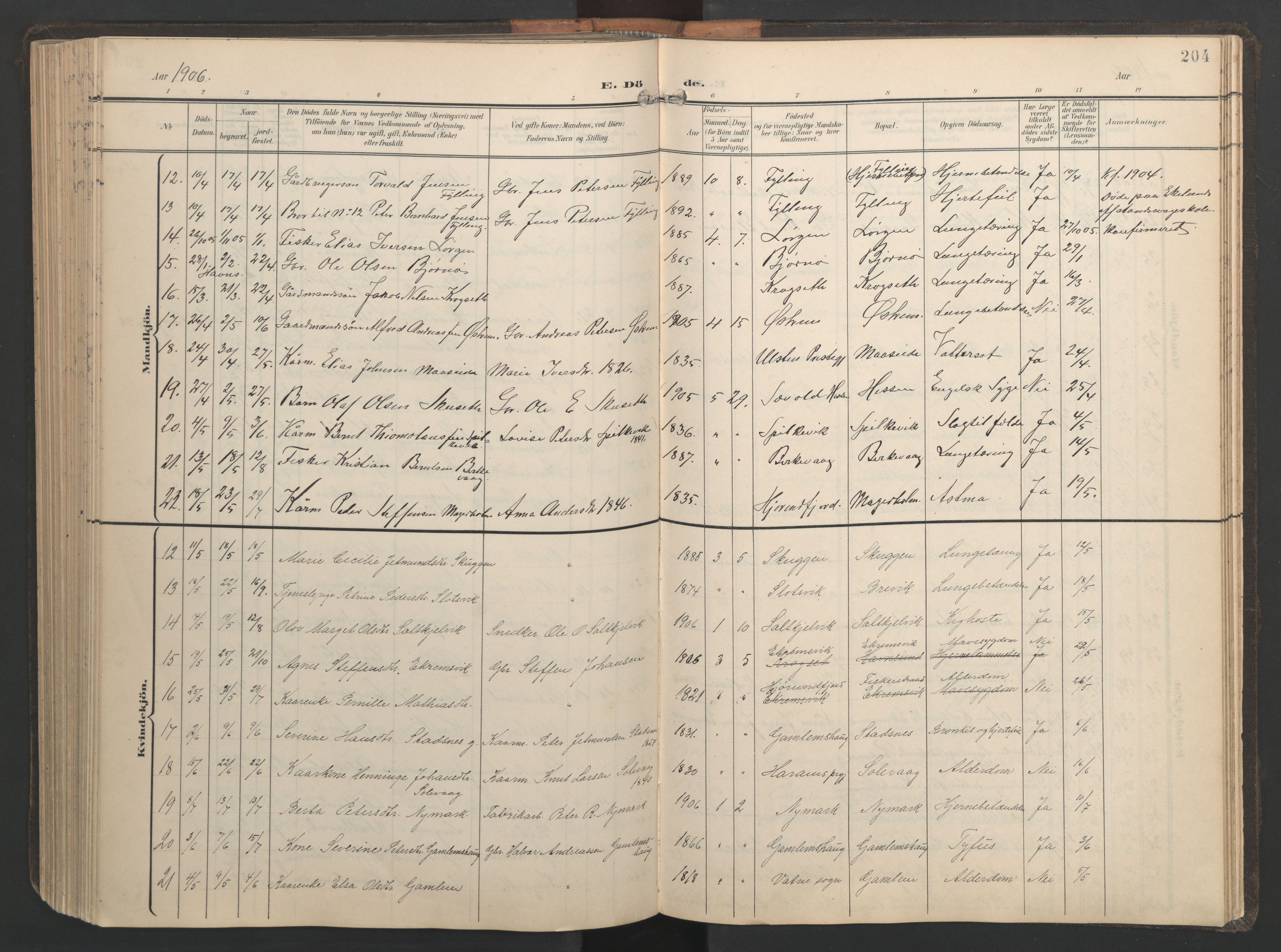 Ministerialprotokoller, klokkerbøker og fødselsregistre - Møre og Romsdal, AV/SAT-A-1454/528/L0433: Klokkerbok nr. 528C14, 1899-1922, s. 204