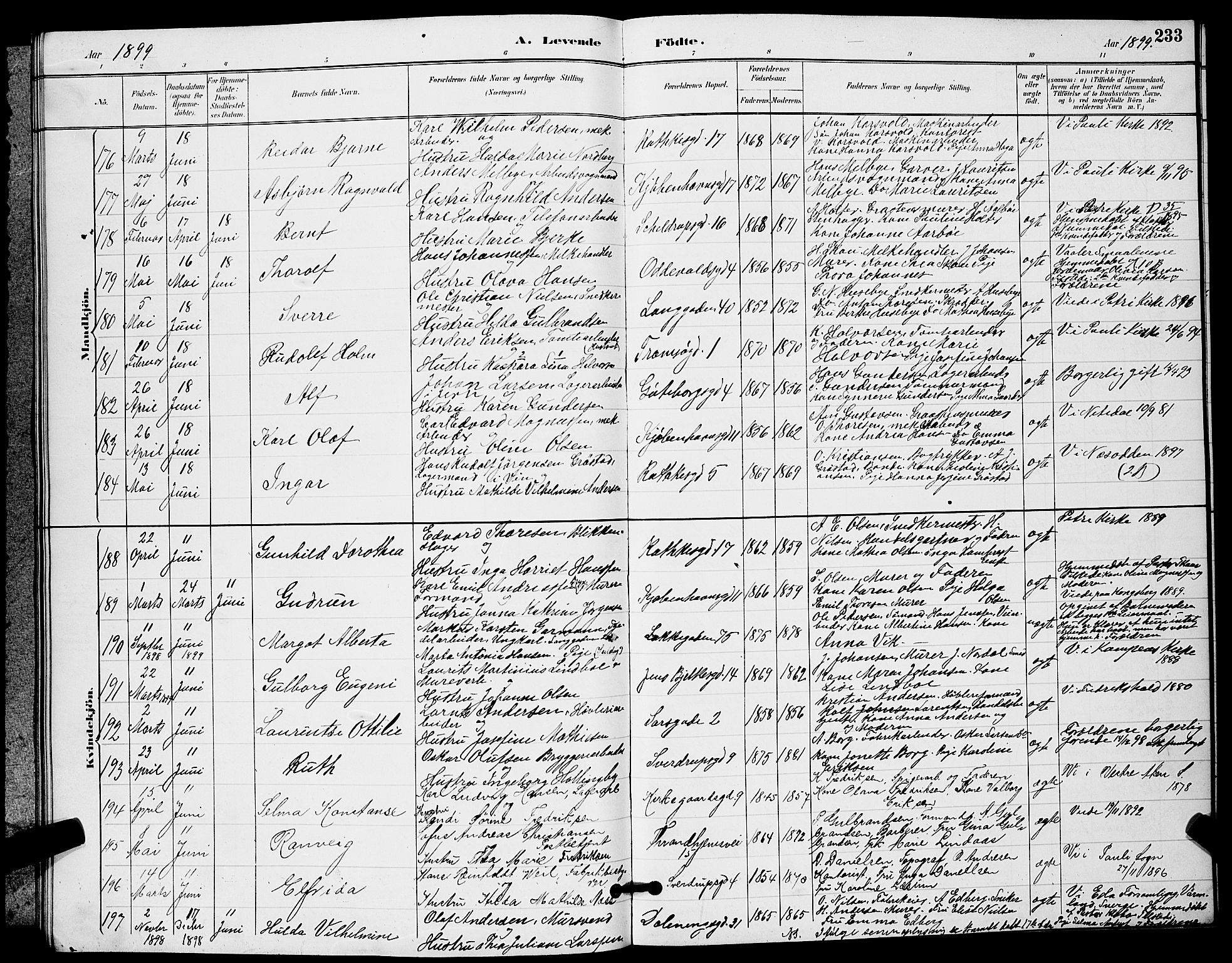 Petrus prestekontor Kirkebøker, AV/SAO-A-10872/G/Ga/L0002: Klokkerbok nr. 2, 1888-1899, s. 233