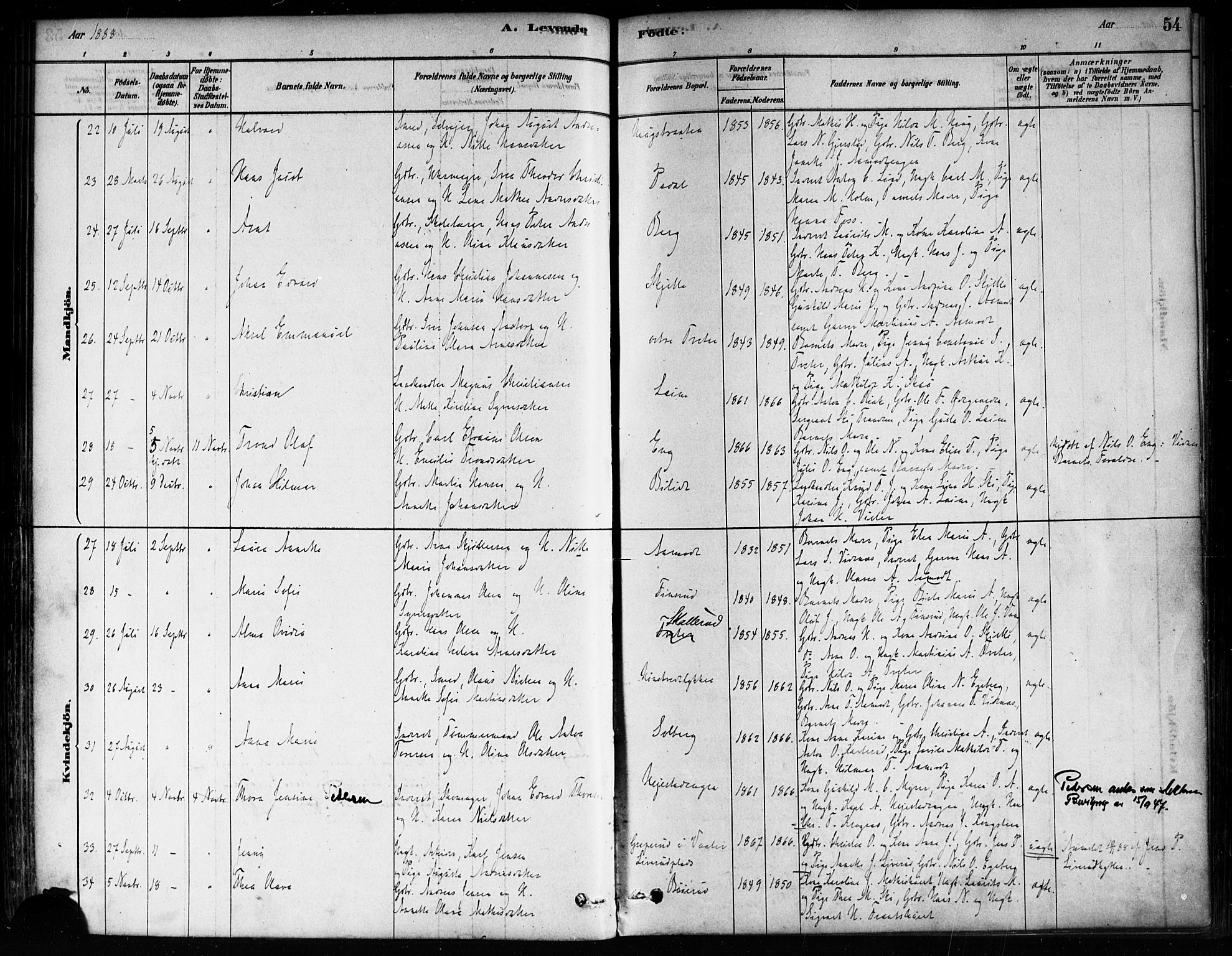 Skiptvet prestekontor Kirkebøker, AV/SAO-A-20009/F/Fa/L0009: Ministerialbok nr. 9, 1878-1900, s. 54