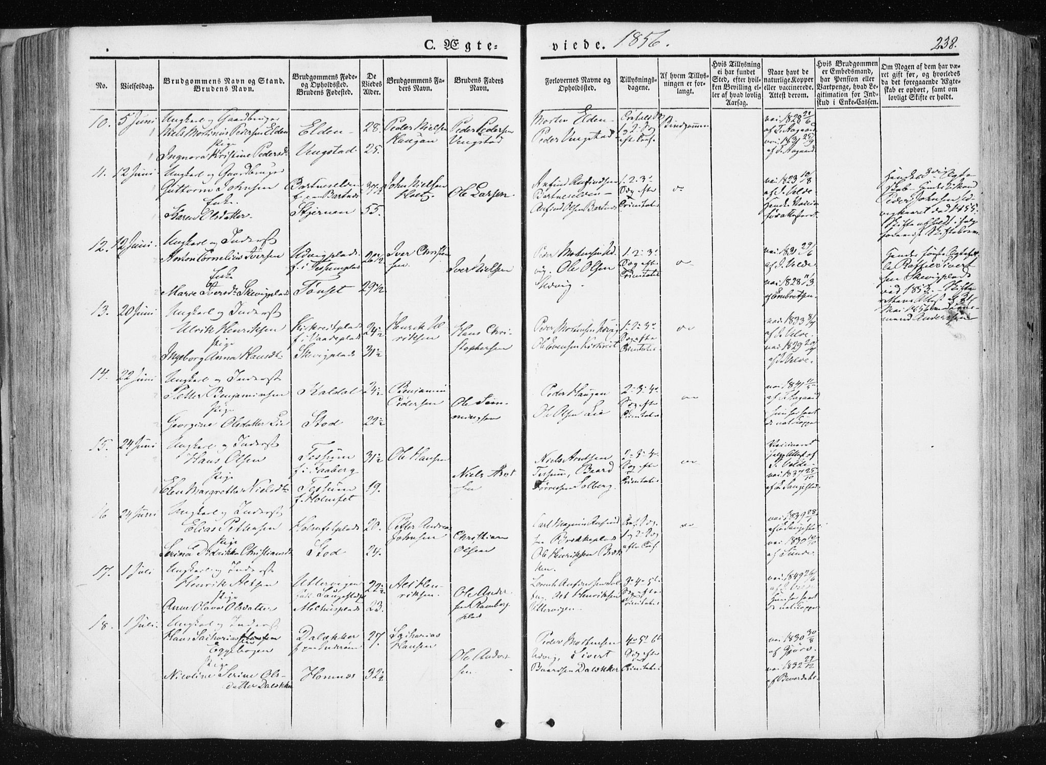 Ministerialprotokoller, klokkerbøker og fødselsregistre - Nord-Trøndelag, AV/SAT-A-1458/741/L0393: Ministerialbok nr. 741A07, 1849-1863, s. 238