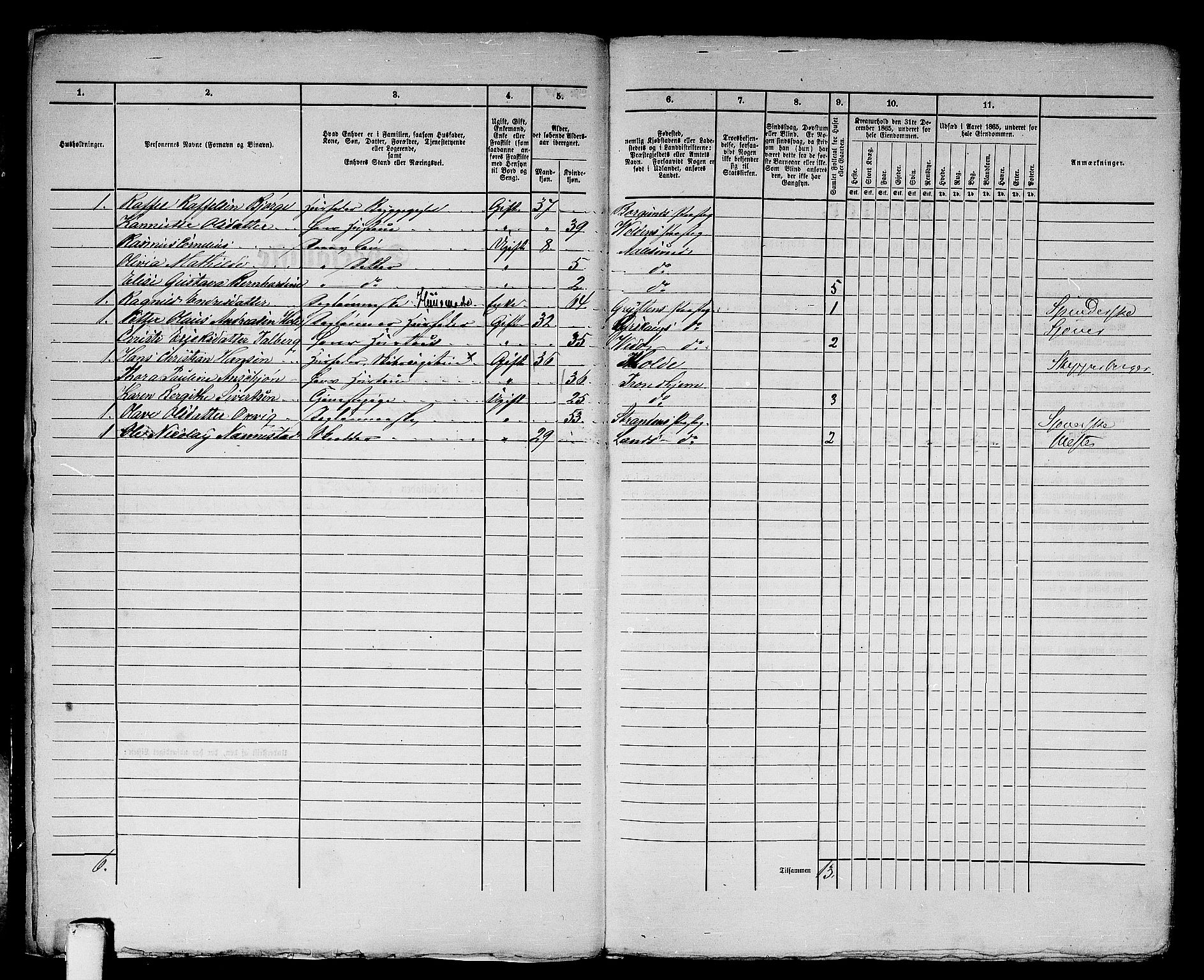 RA, Folketelling 1865 for 1501P Ålesund prestegjeld, 1865, s. 13