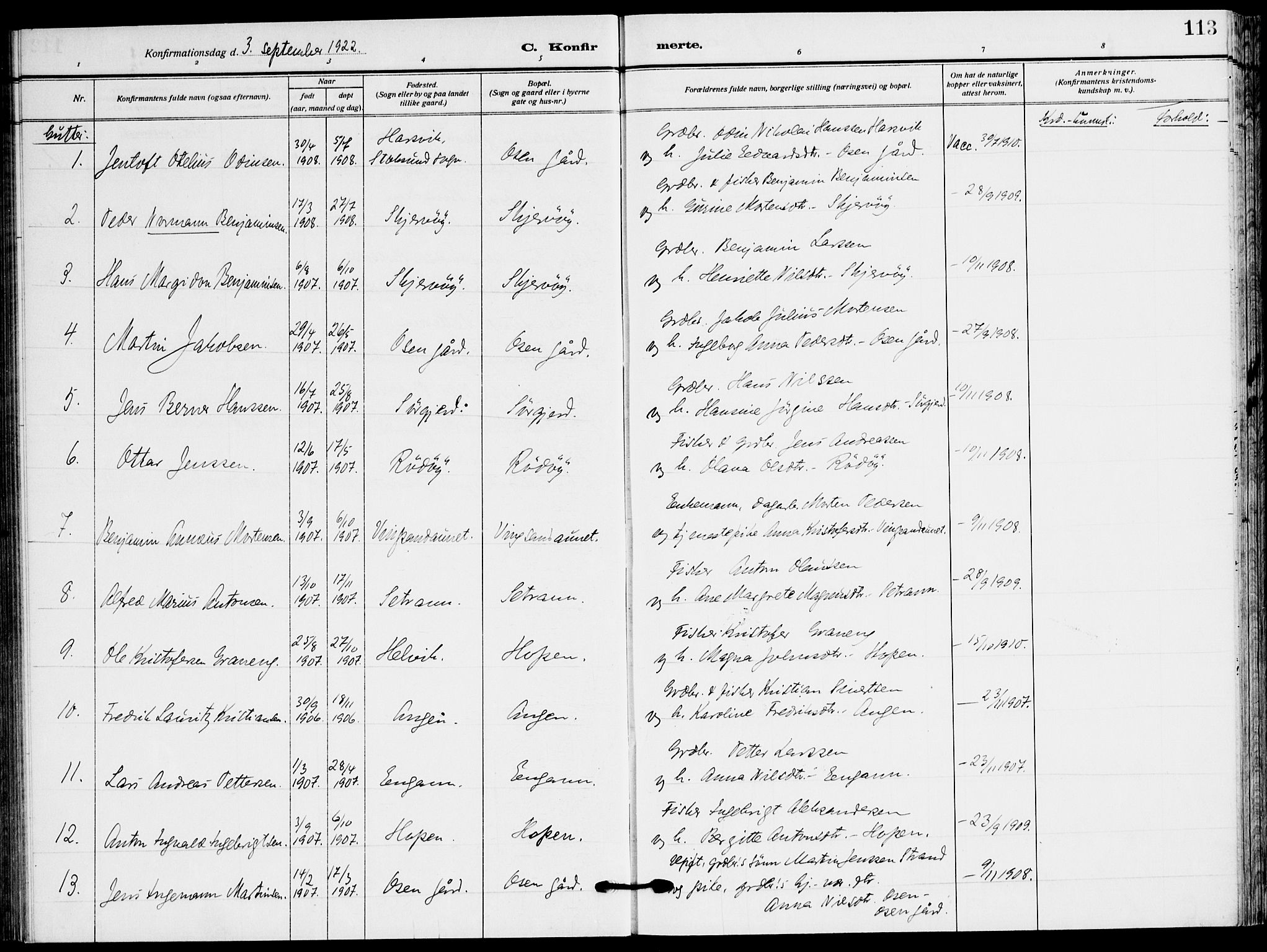 Ministerialprotokoller, klokkerbøker og fødselsregistre - Sør-Trøndelag, AV/SAT-A-1456/658/L0724: Ministerialbok nr. 658A03, 1912-1924, s. 113