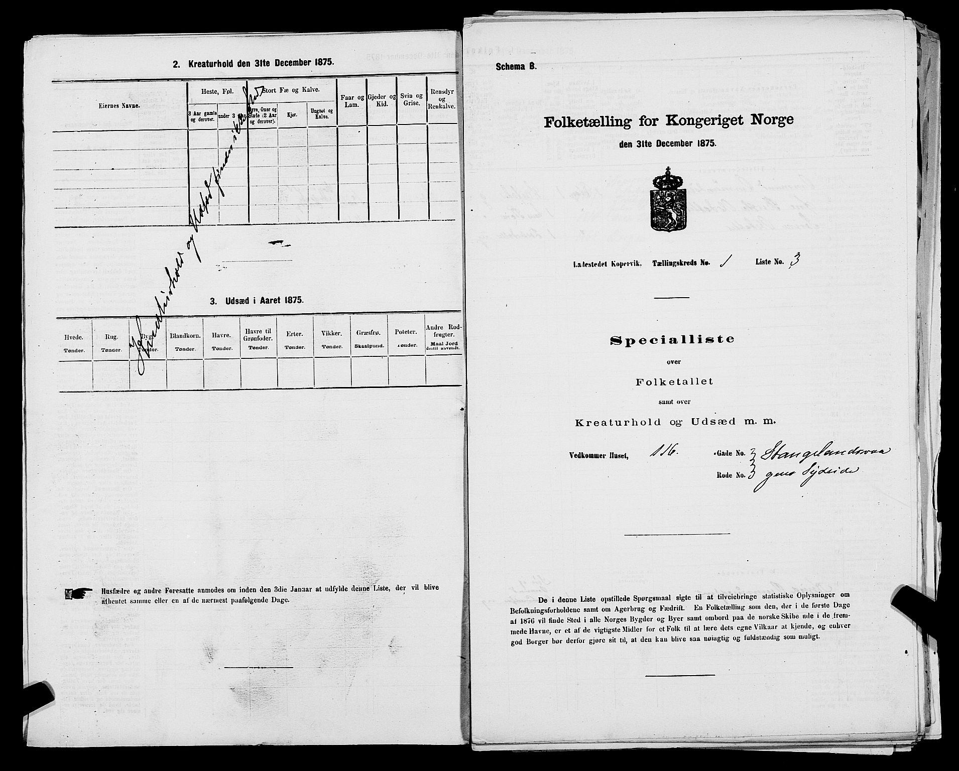 SAST, Folketelling 1875 for 1105B Avaldsnes prestegjeld, Kopervik ladested, 1875, s. 6