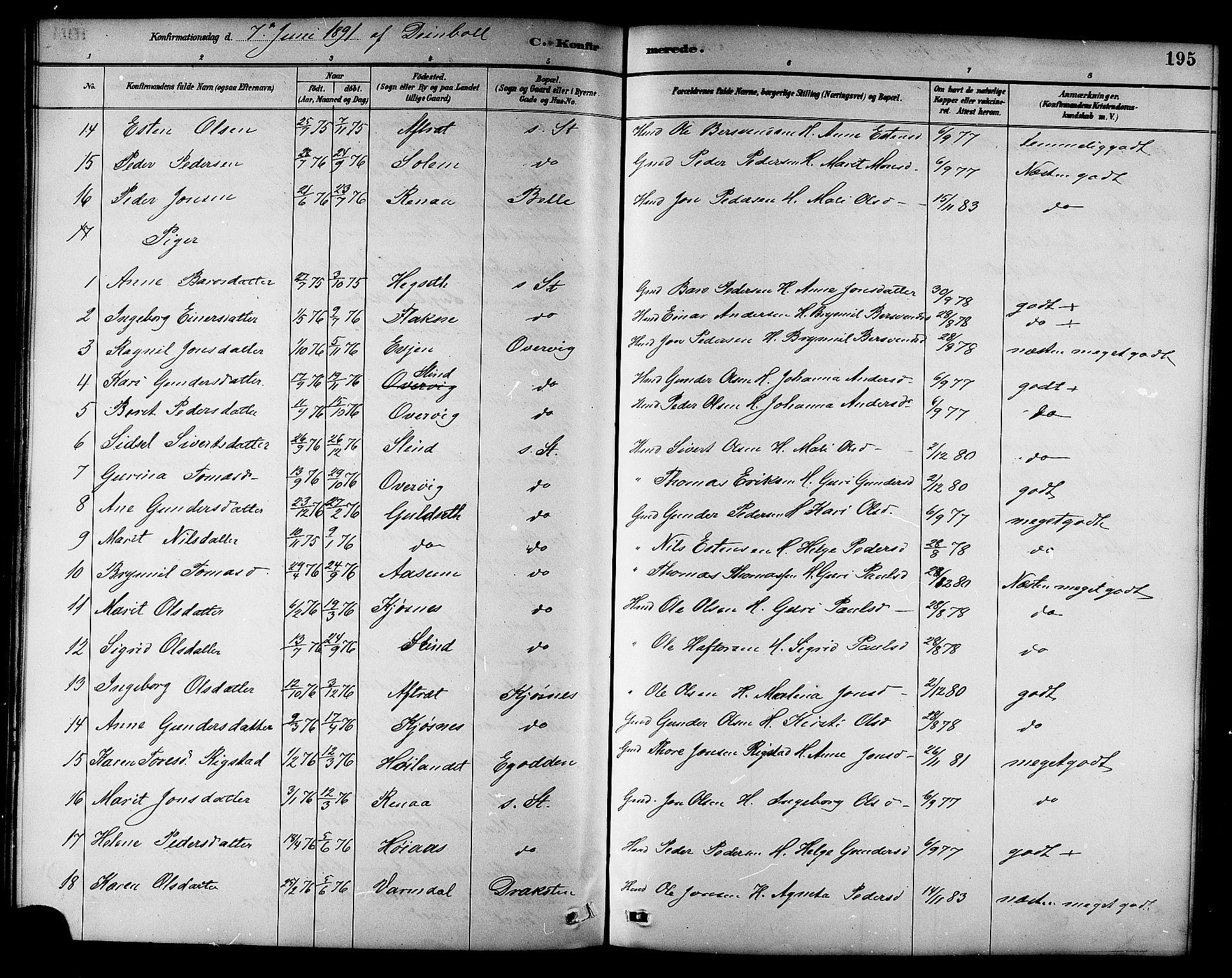 Ministerialprotokoller, klokkerbøker og fødselsregistre - Sør-Trøndelag, SAT/A-1456/695/L1157: Klokkerbok nr. 695C08, 1889-1913, s. 195