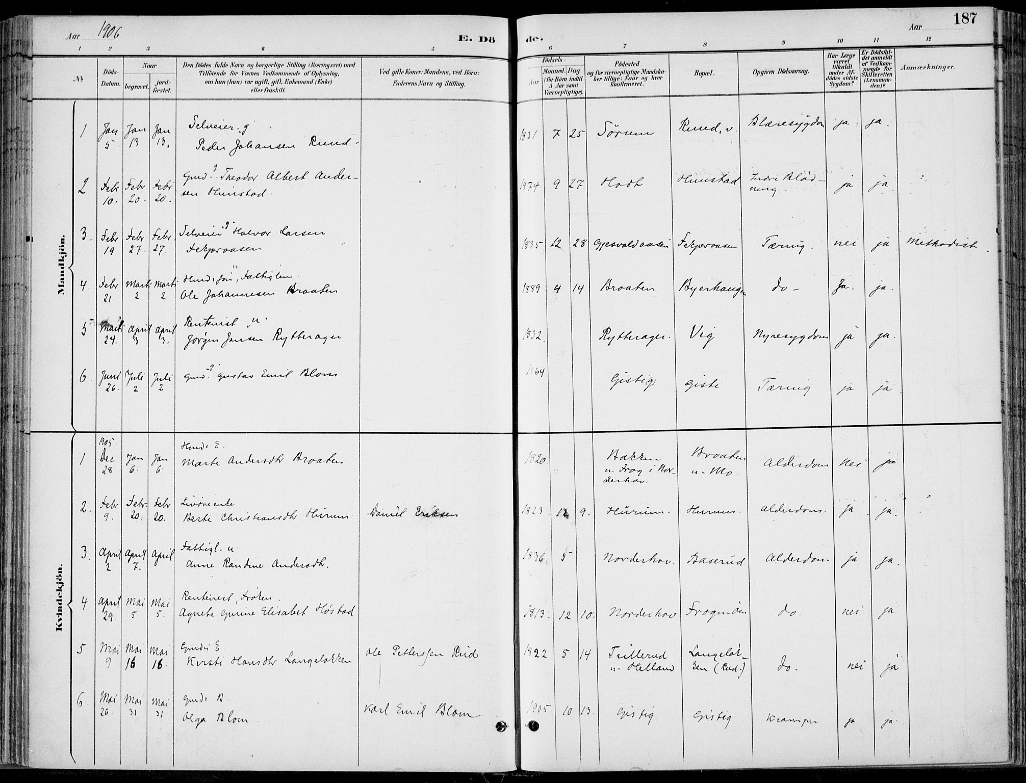Hole kirkebøker, SAKO/A-228/F/Fa/L0009: Ministerialbok nr. I 9, 1892-1907, s. 187