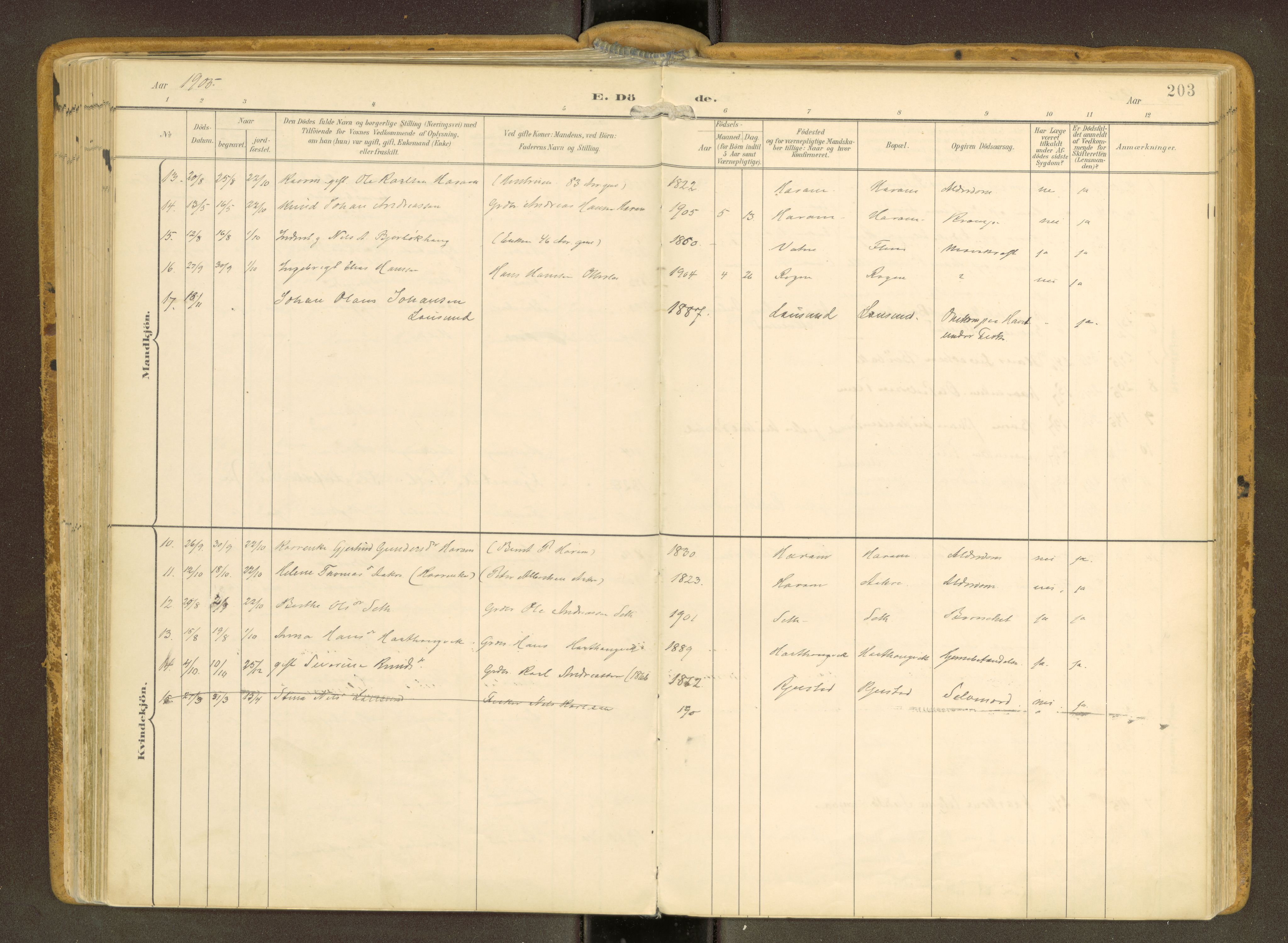 Ministerialprotokoller, klokkerbøker og fødselsregistre - Møre og Romsdal, AV/SAT-A-1454/536/L0517: Ministerialbok nr. 536A--, 1897-1917, s. 203